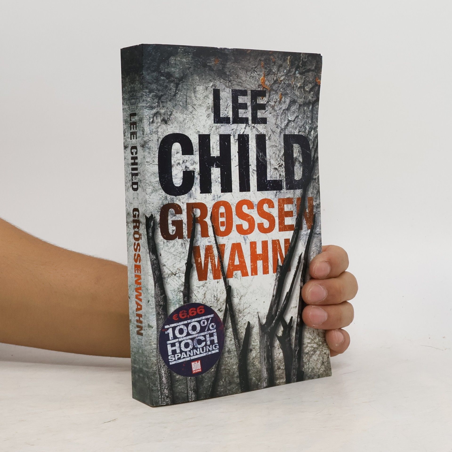Lee Child Grössenwahn