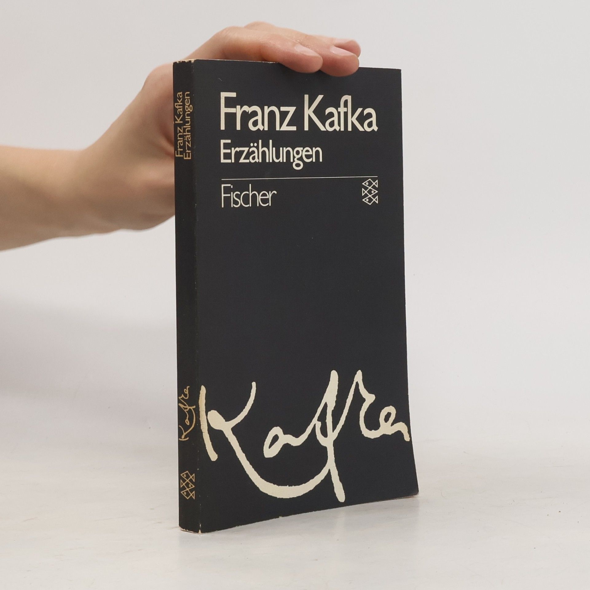 Franz Kafka Beschreibung eines Kampfes