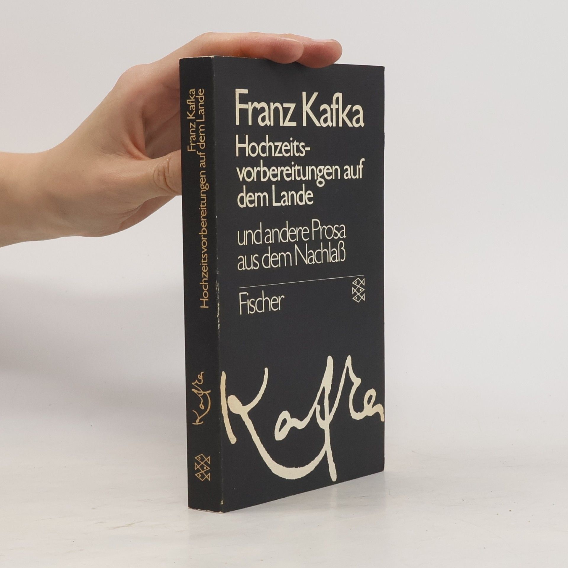 Franz Kafka Hochzeitsvorbereitungen auf dem Lande