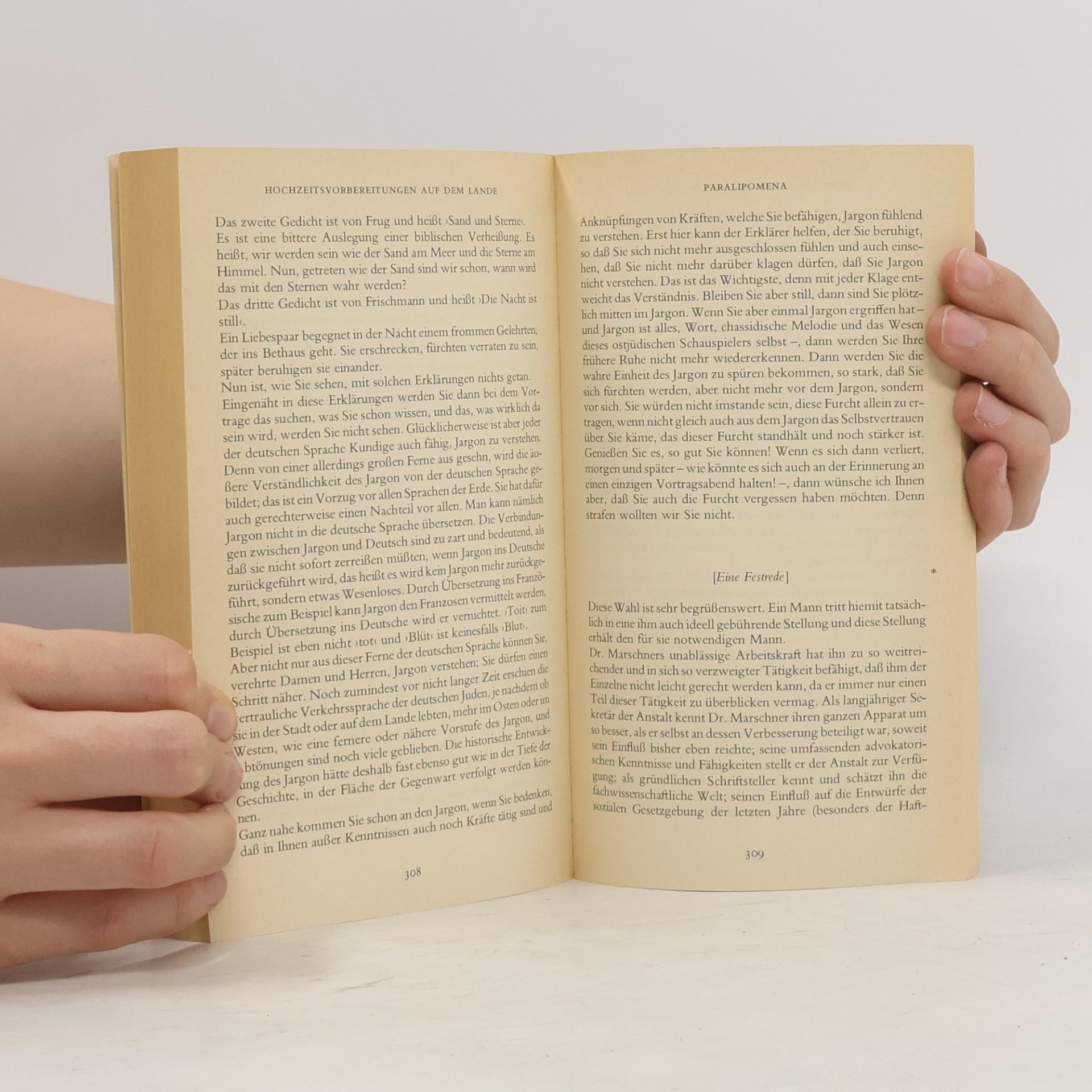 Franz Kafka Hochzeitsvorbereitungen auf dem Lande