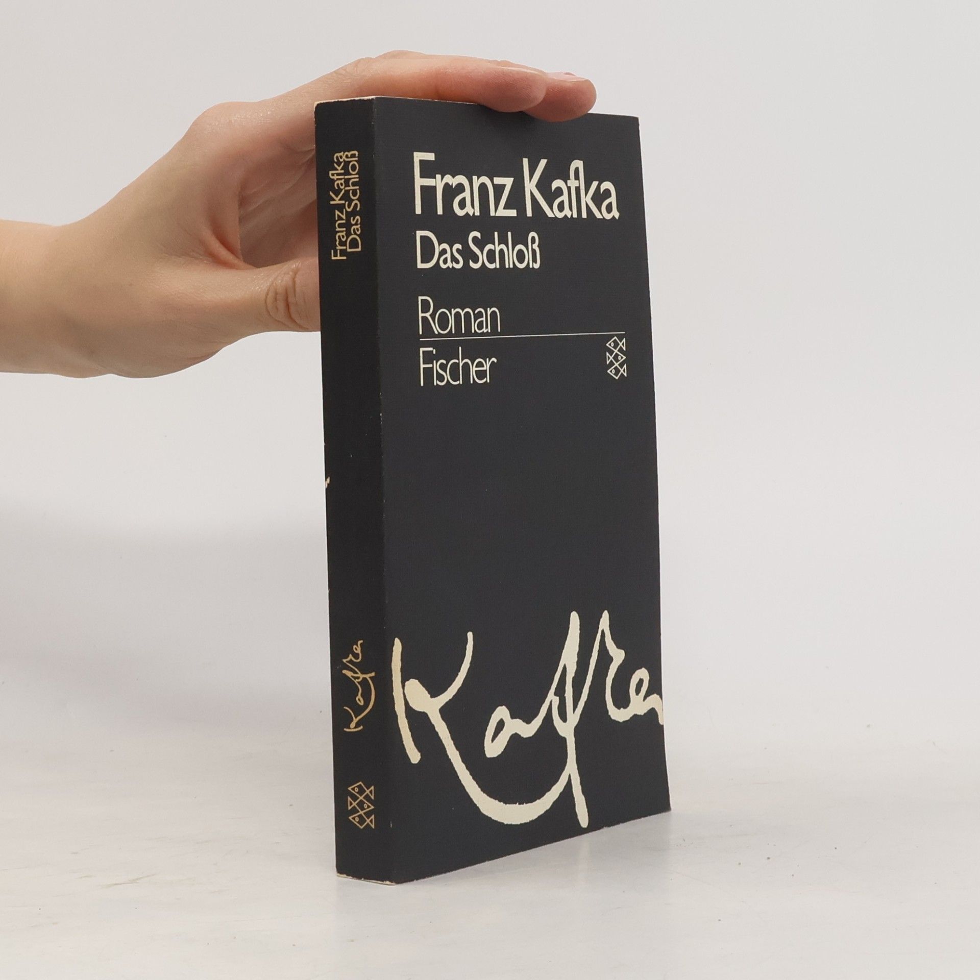 Franz Kafka Das Schloß