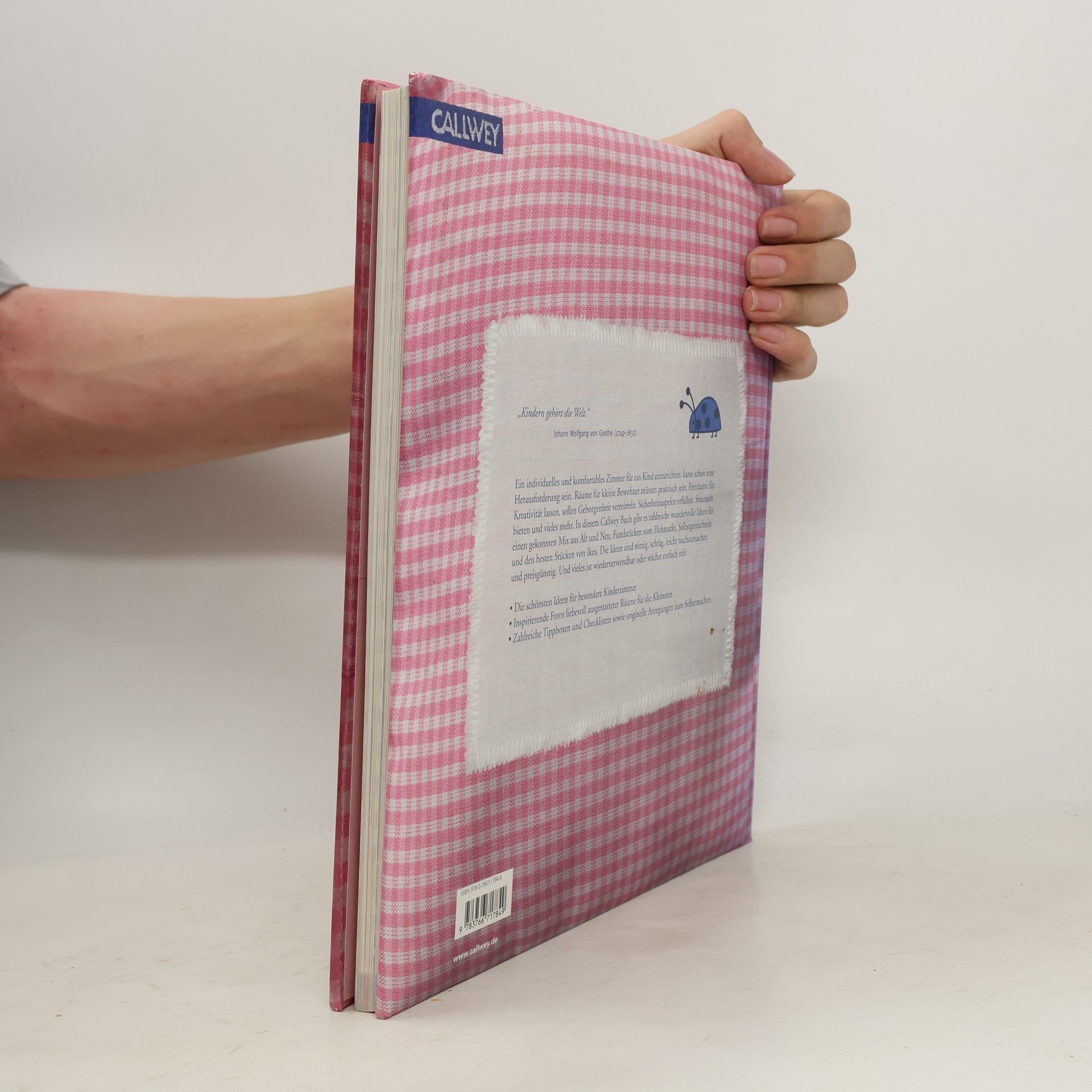 Jana Jung Das Kinderzimmerbuch