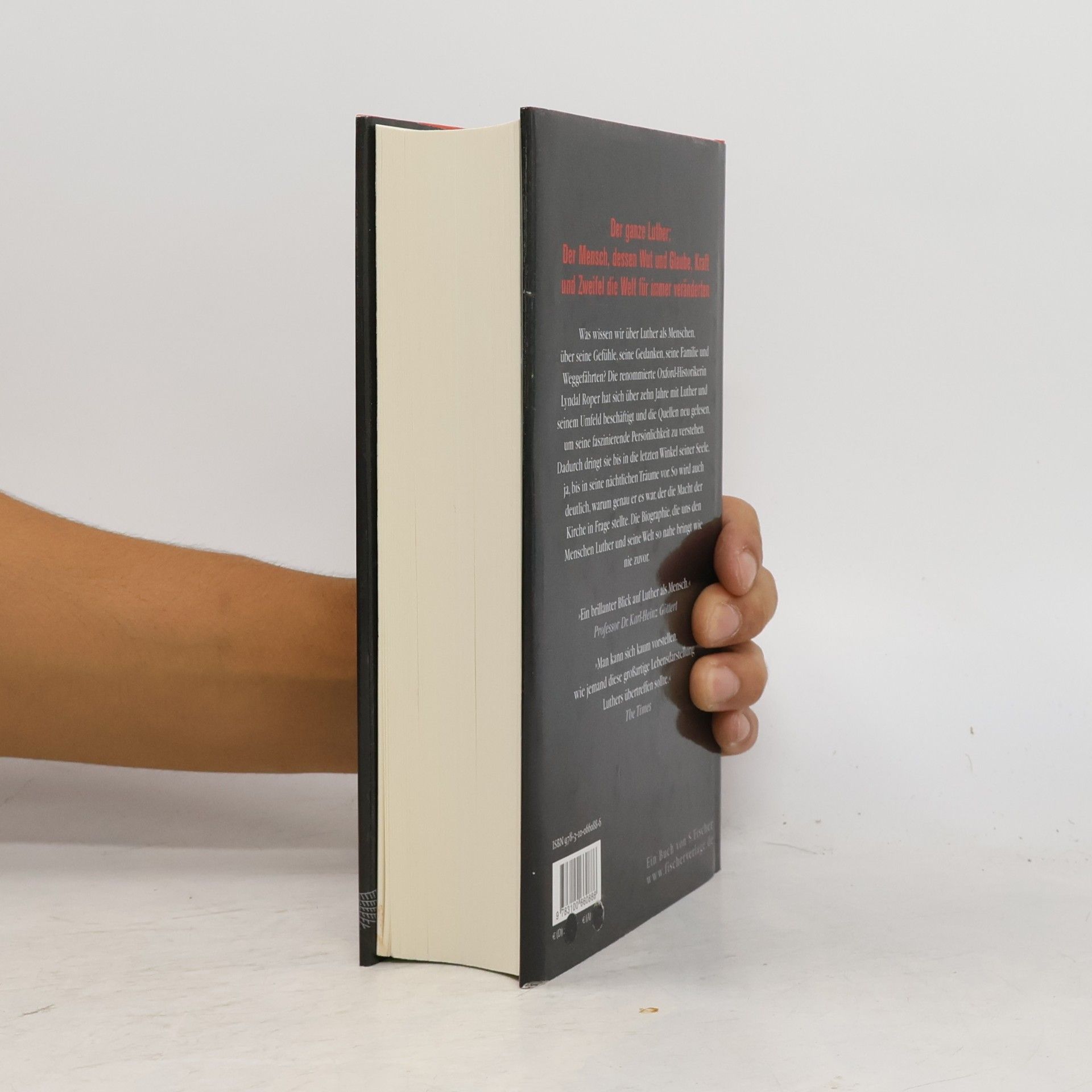 Lyndal Roper Der Mensch Martin Luther