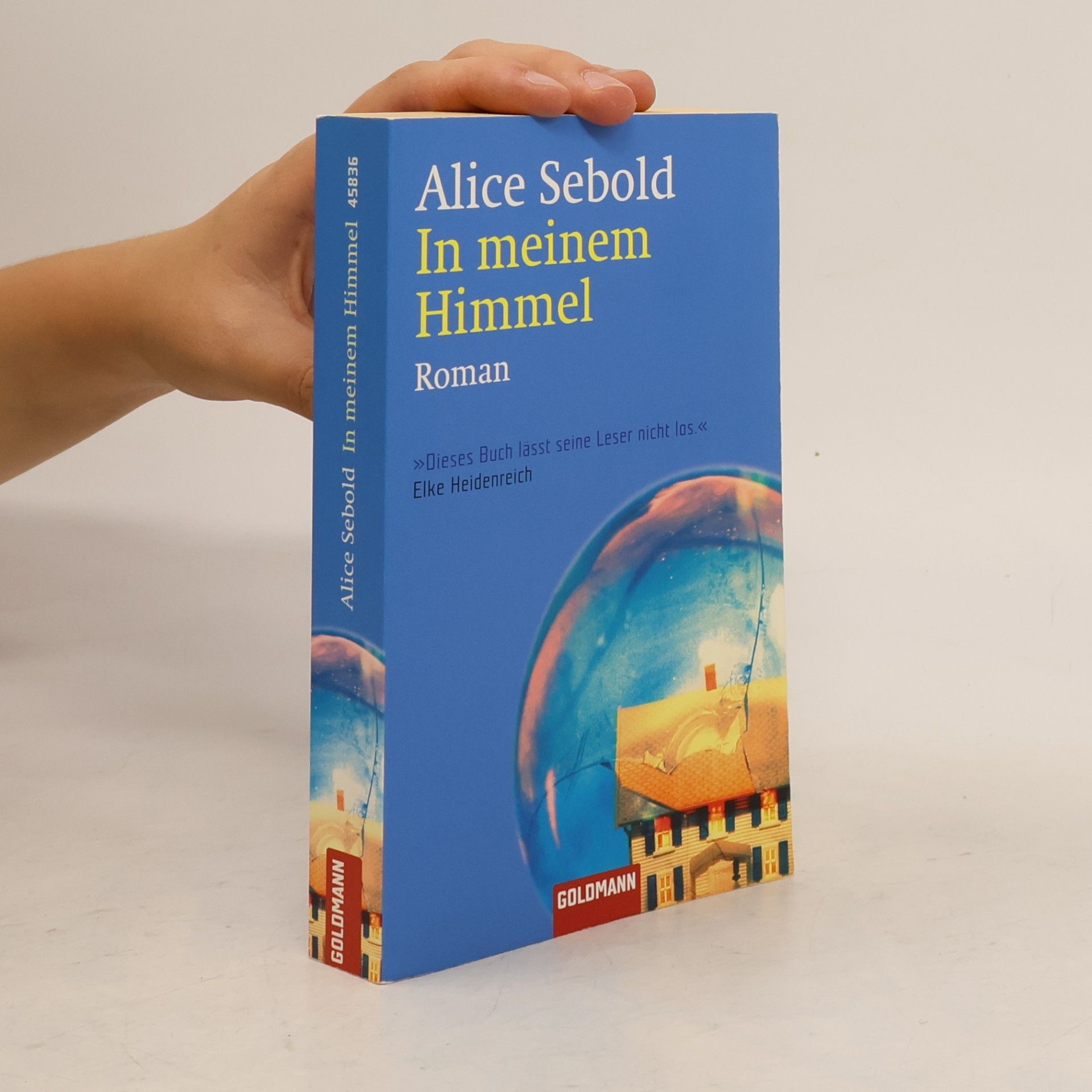Alice Sebold In meinem Himmel