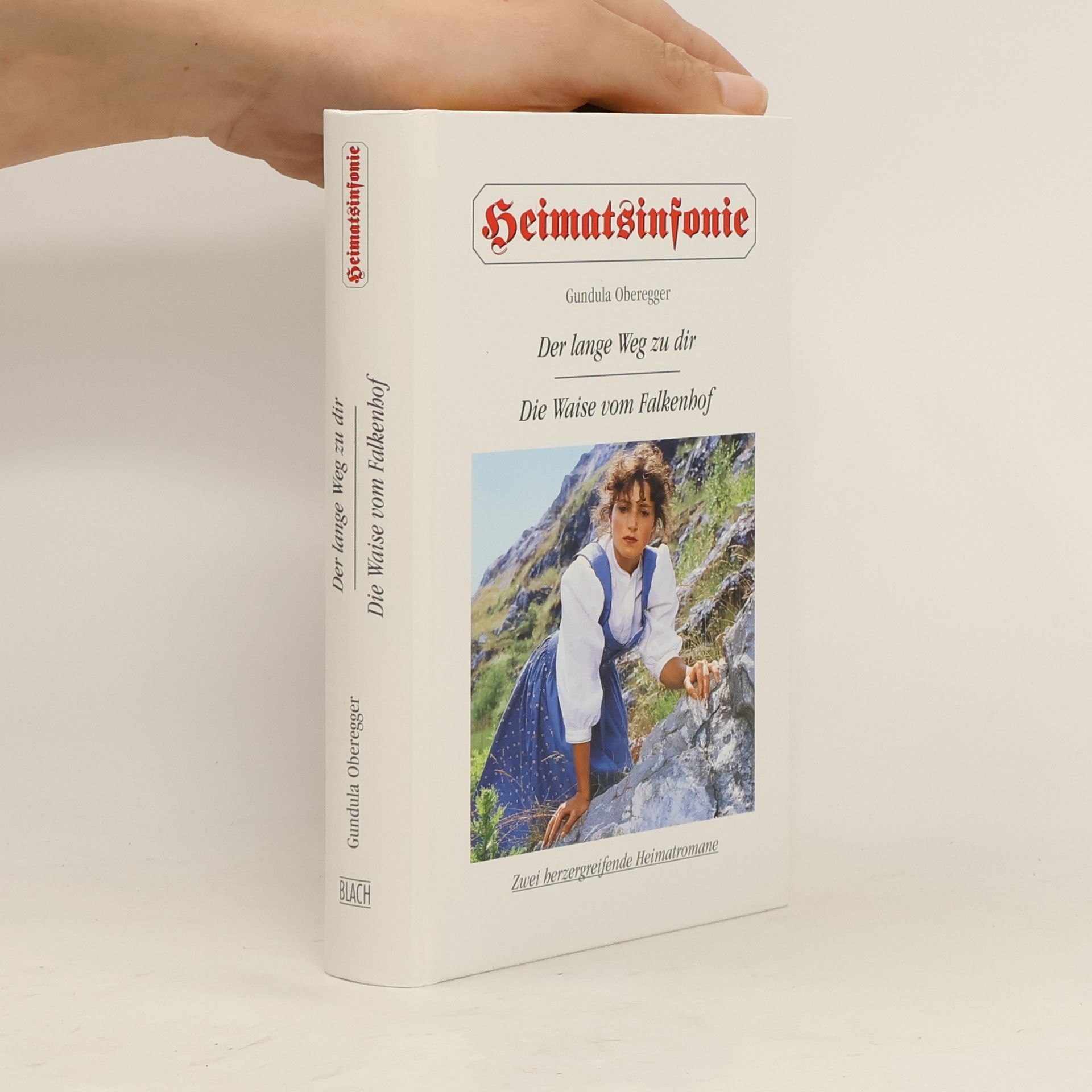 Gundula Oberegger Der lange Weg zu dir. Die Waise vom Falkenhof