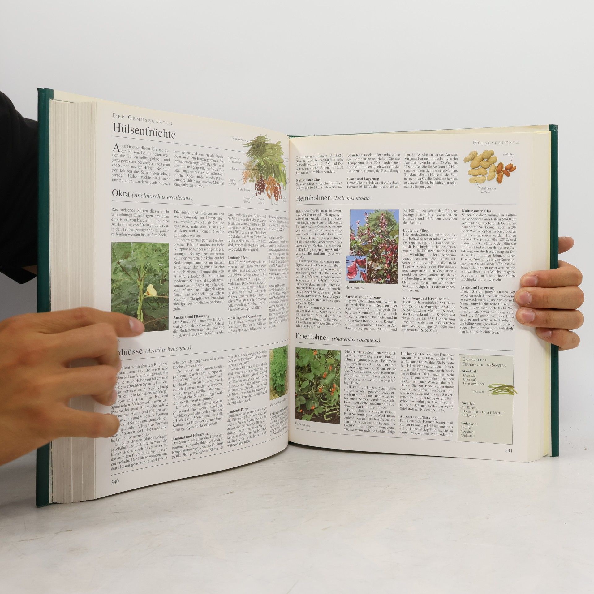 Autores varios DuMont's Grosse Garten Enzyklopädie
