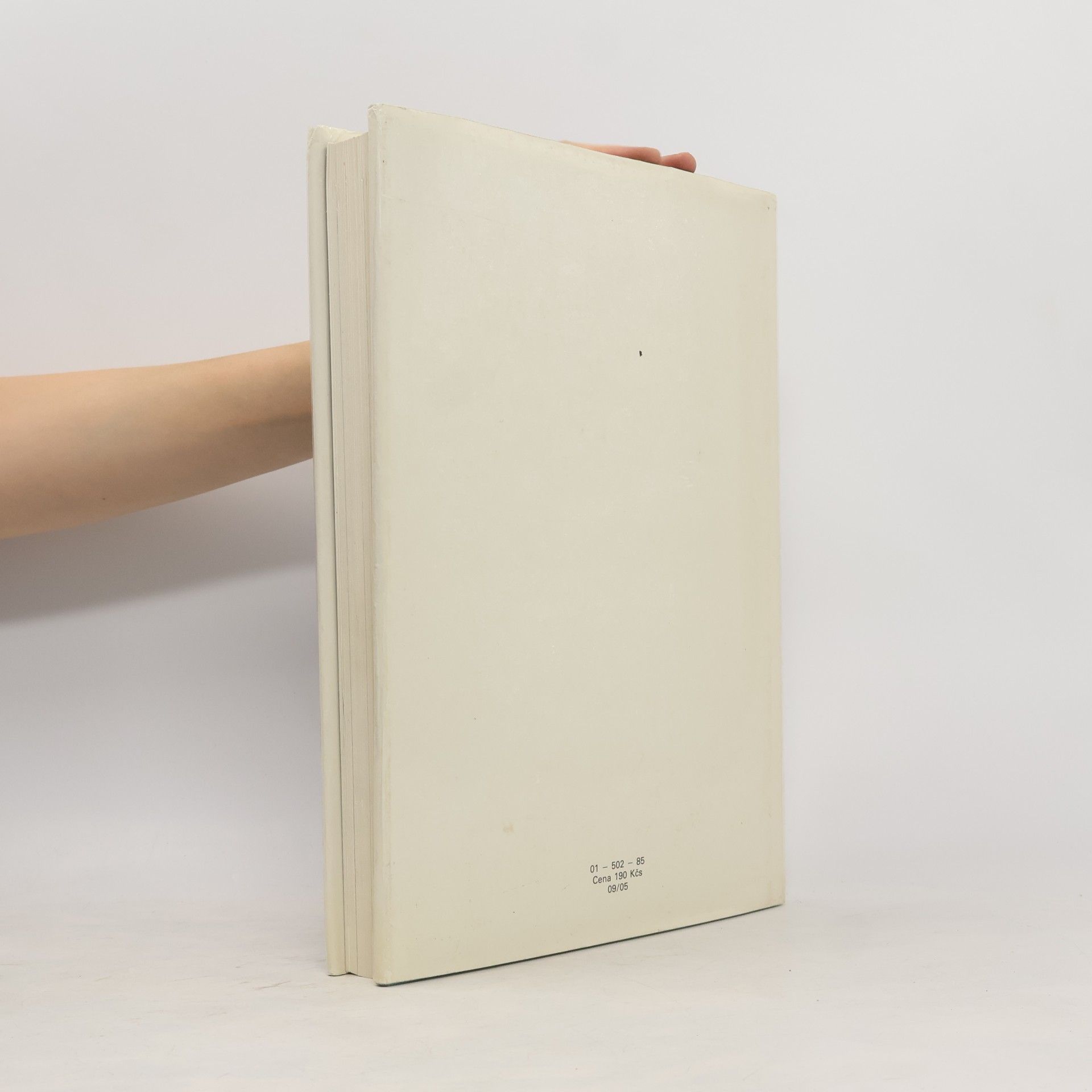 Petr Wittlich Česká secese