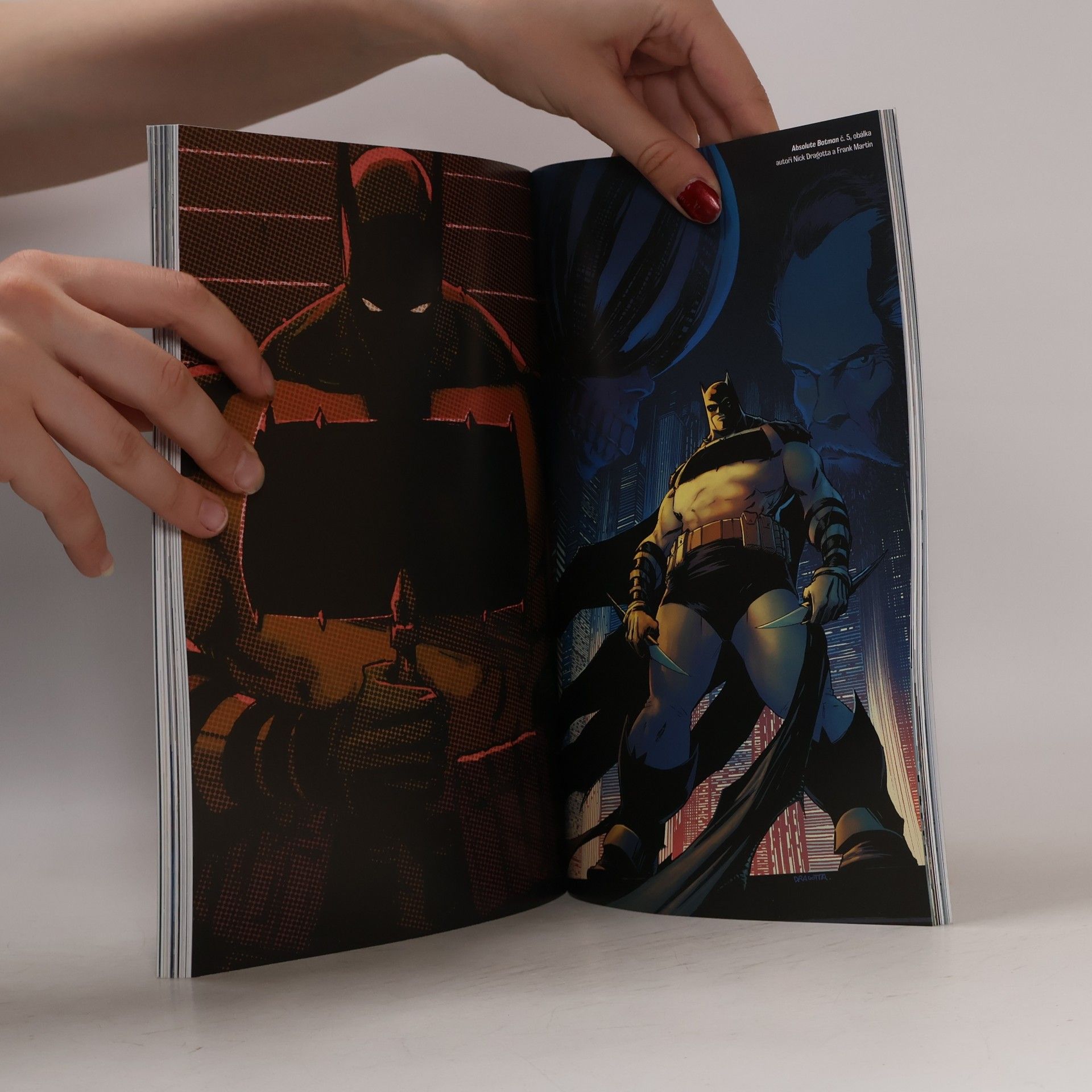 Scott Snyder Absolut Batman 1 - Zoo