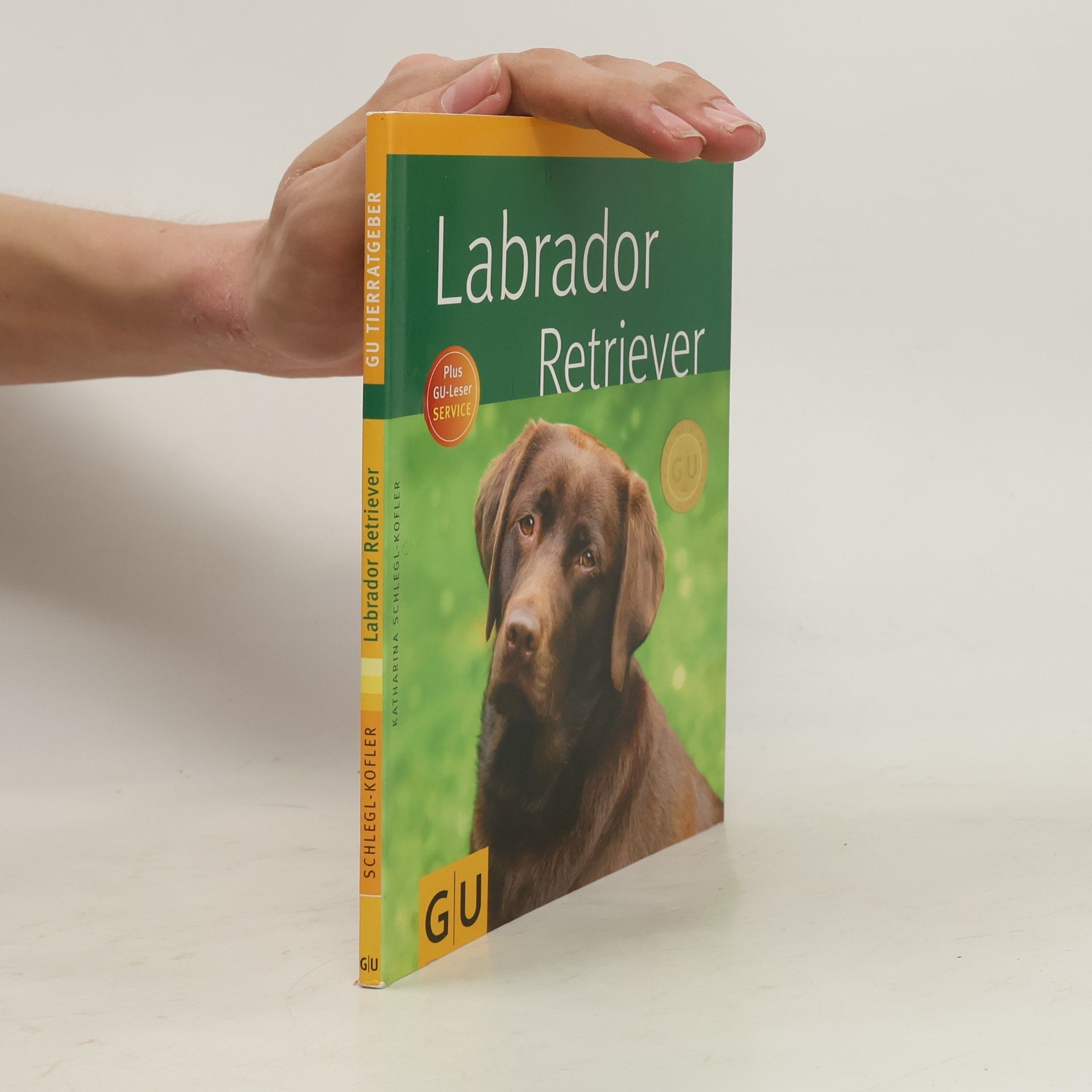 Katharina Schleg Kofler Labrador Retriever