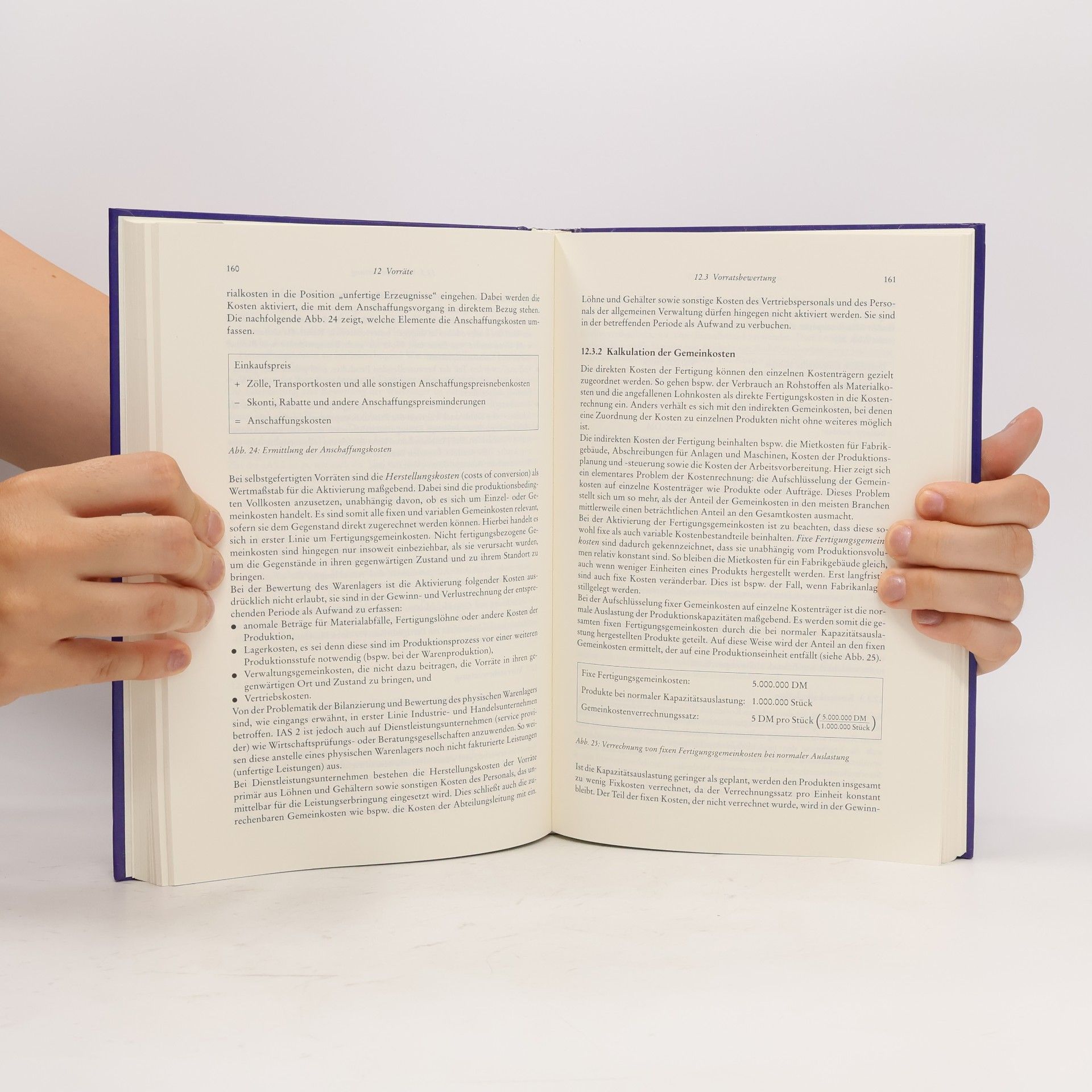 Ann-Kristin Achleitner International Accounting Standards - 2. Auflage