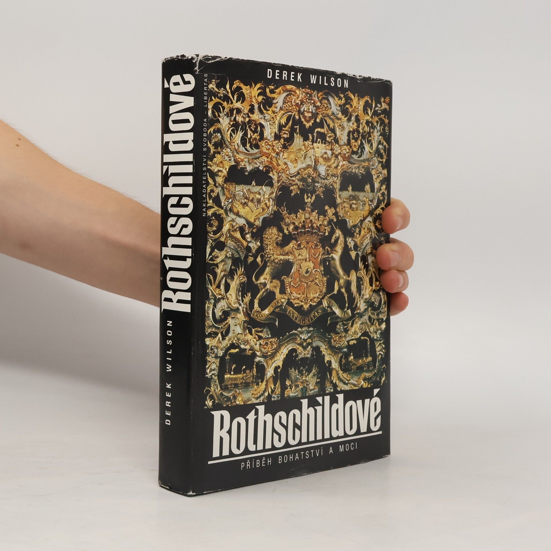 Derek Wilson Rothschildové. Příběh bohatství a moci