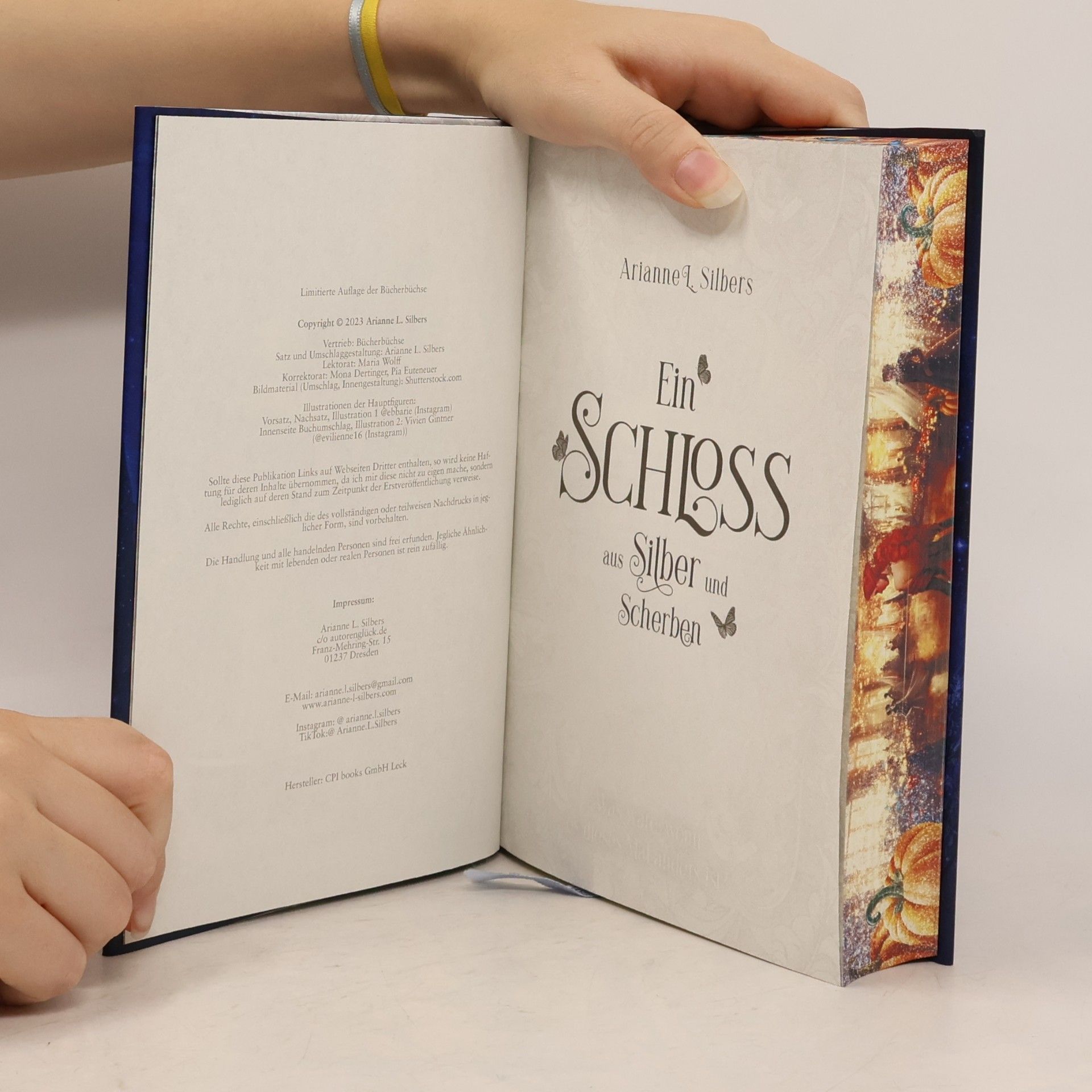 Arianne L. Silbers Ein Schloss aus Silber und Scherben