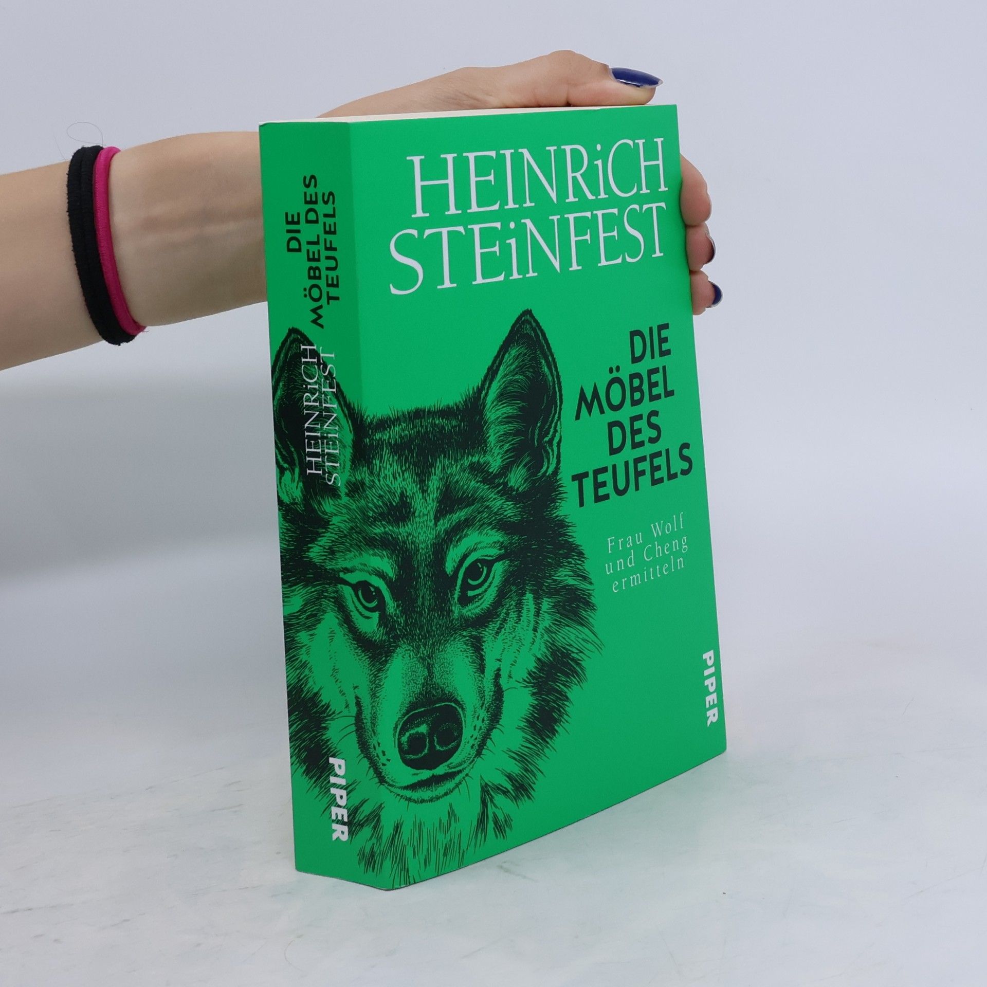 Heinrich Steinfest Die Möbel des Teufels