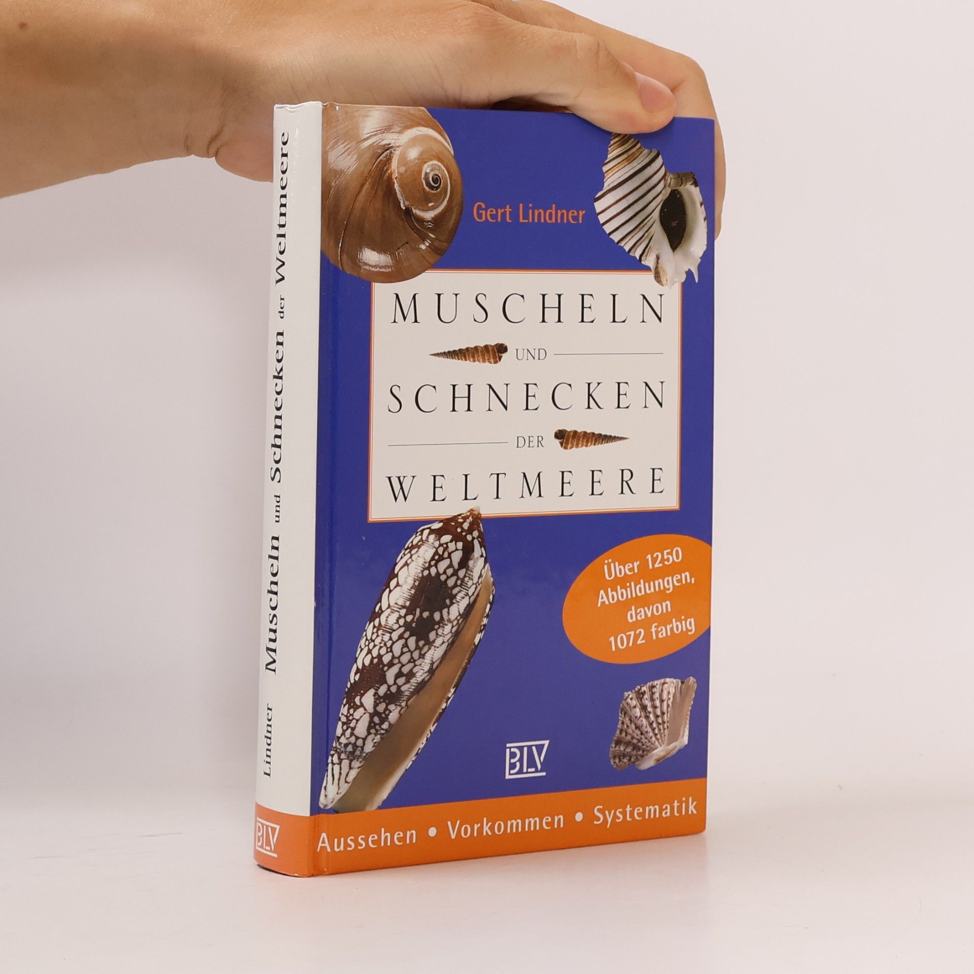 Gert Lindner Muscheln und Schnecken der Weltmeere