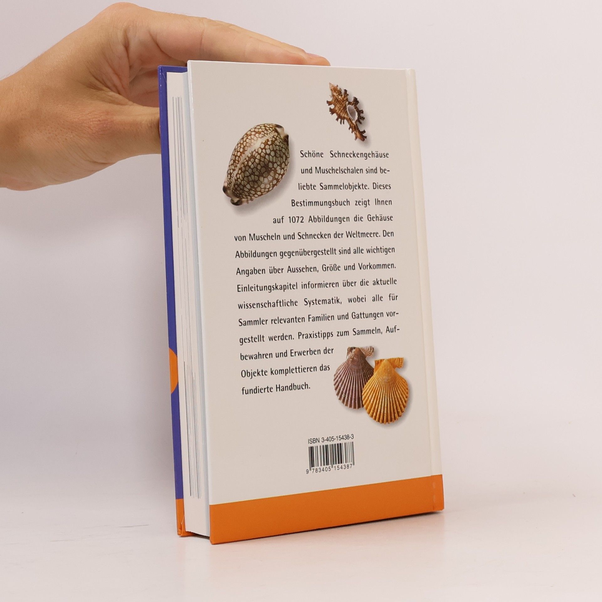 Gert Lindner Muscheln und Schnecken der Weltmeere
