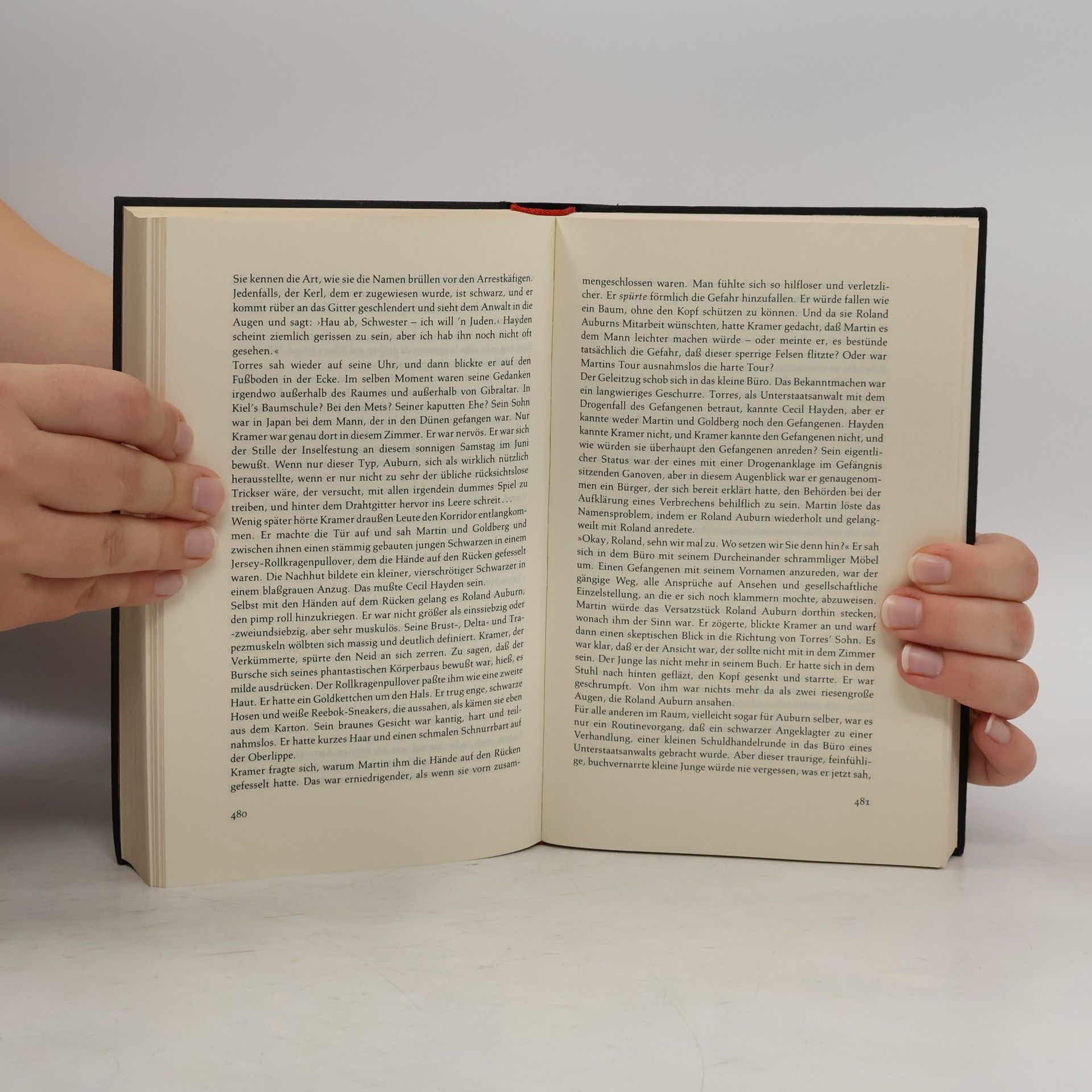 Tom Wolfe Fegefeuer der Eitelkeiten