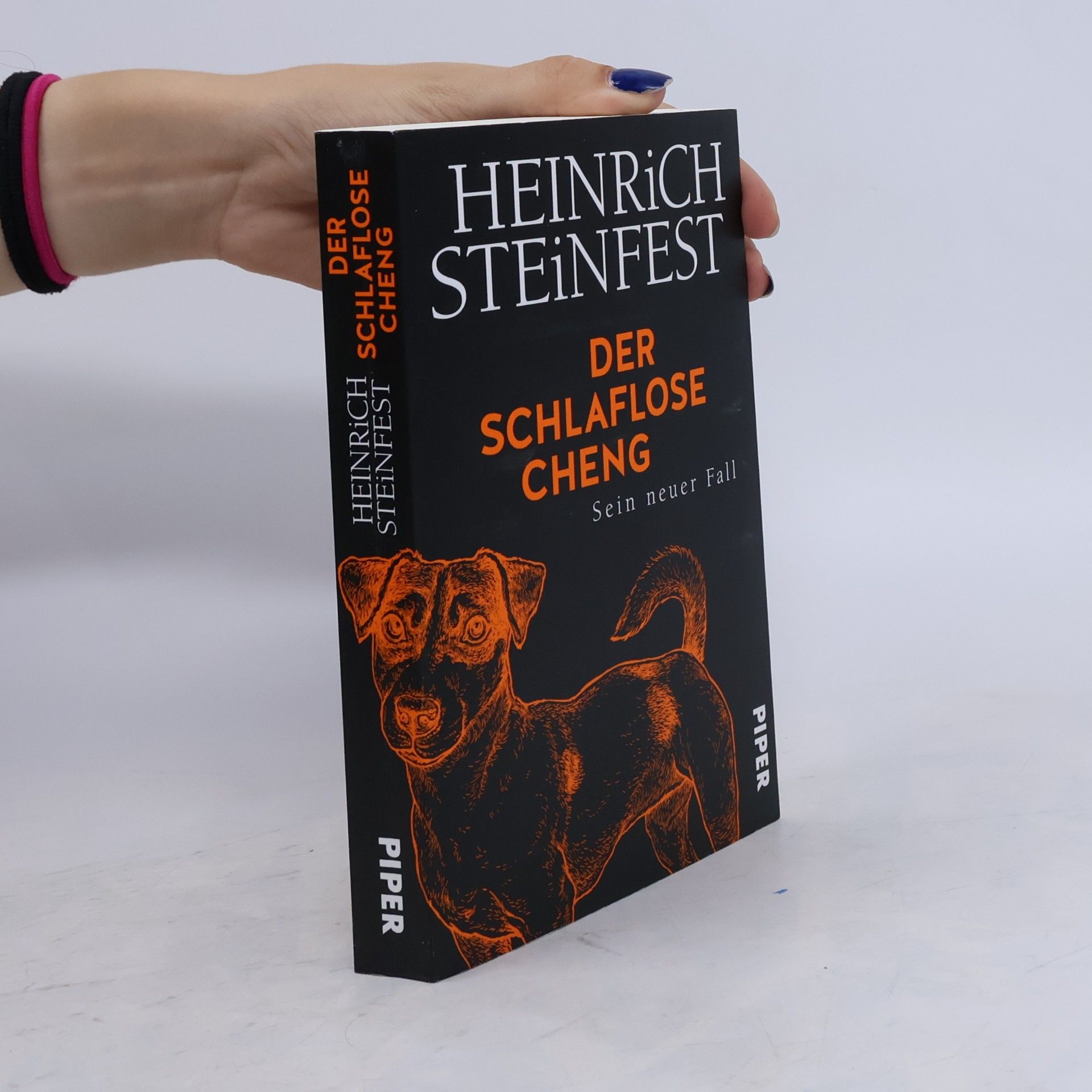 Heinrich Steinfest Der schlaflose Cheng