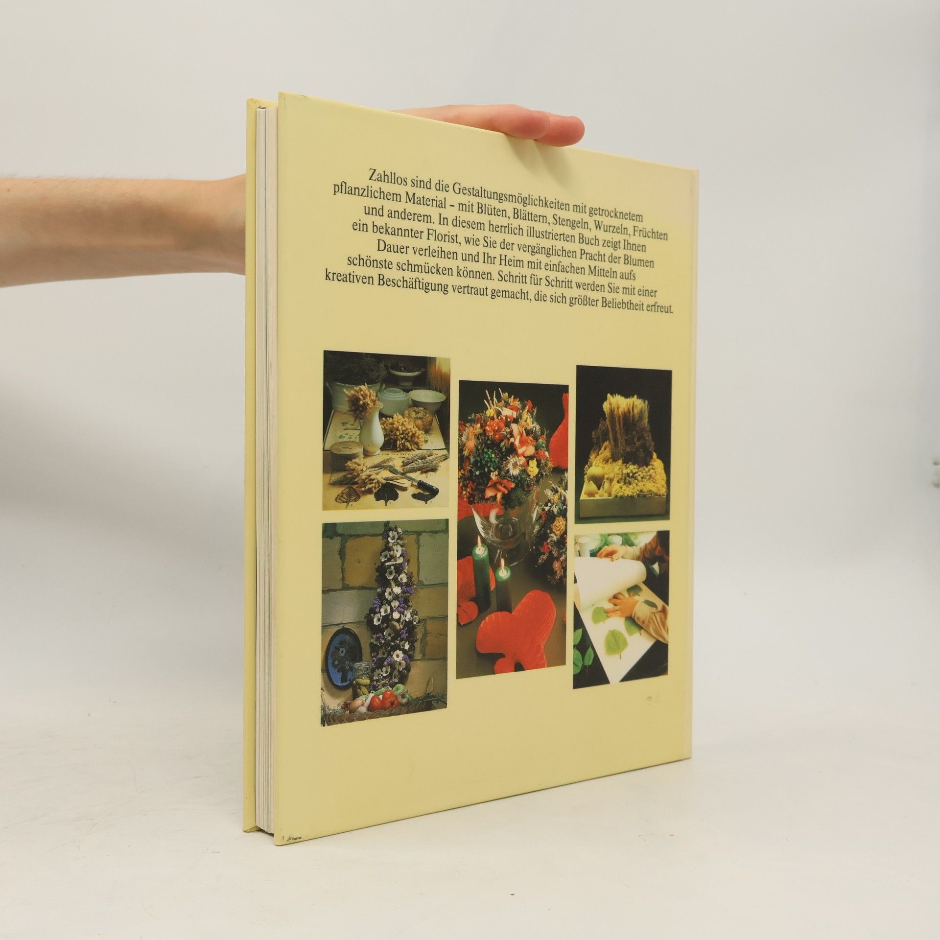Toon Leemans Knaurs Buch der Trockenblumen