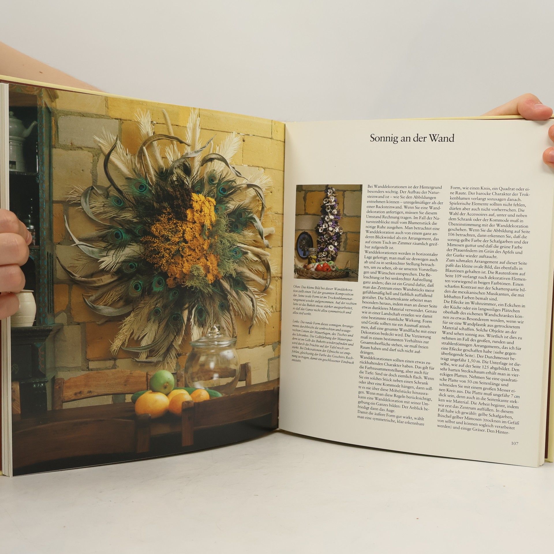 Toon Leemans Knaurs Buch der Trockenblumen