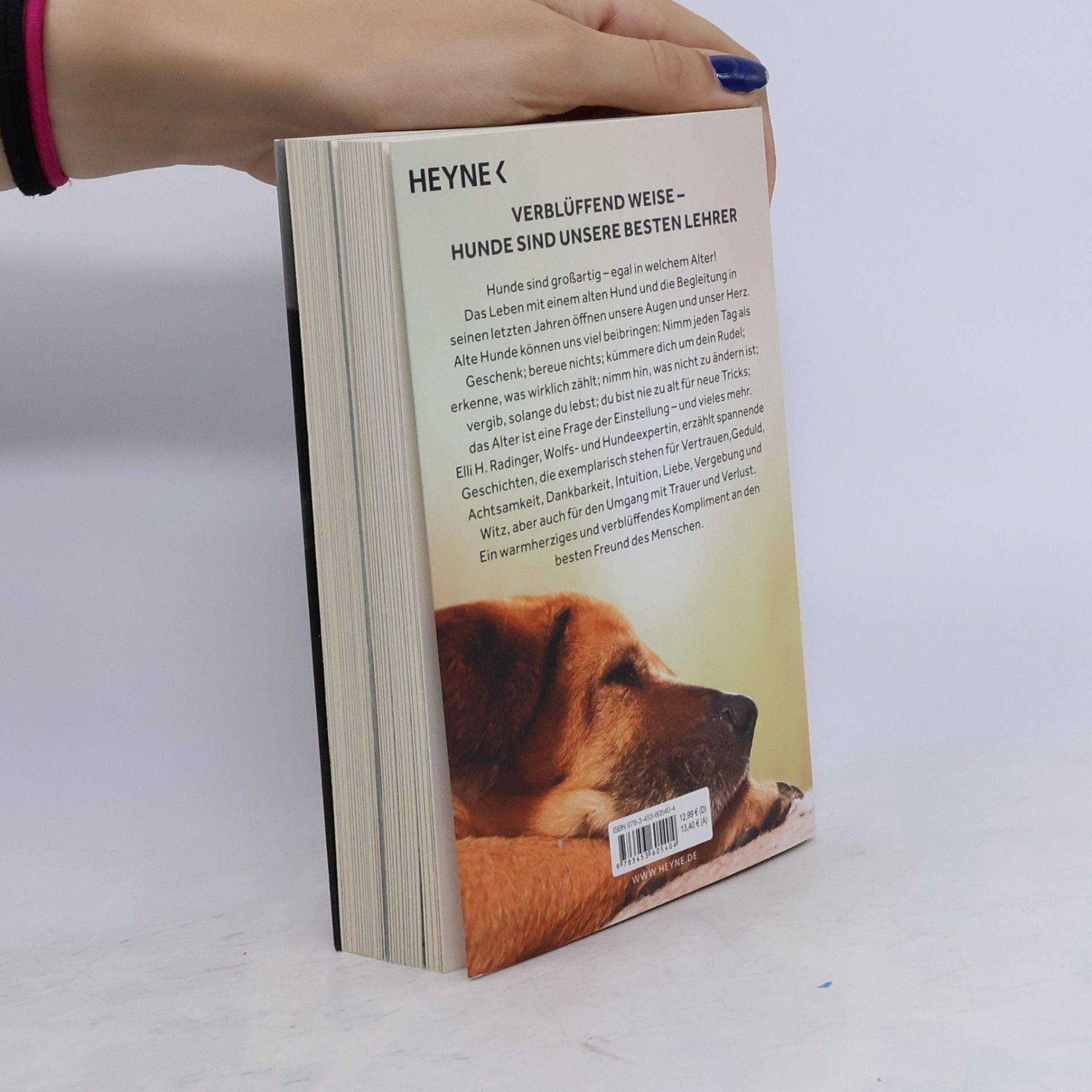 Elli H. Radinger Die Weisheit alter Hunde
