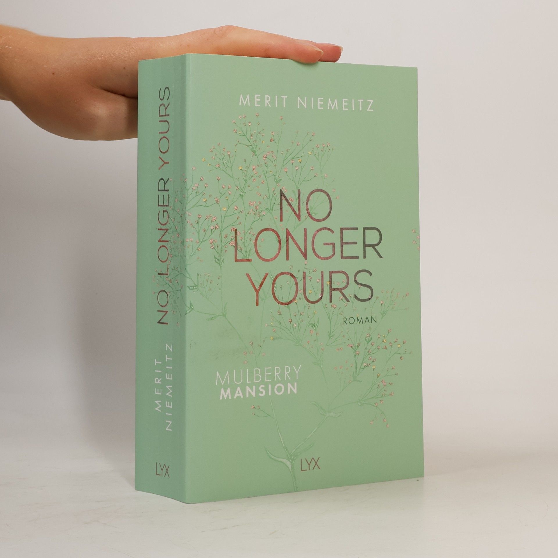 Merit Niemeitz No Longer Yours