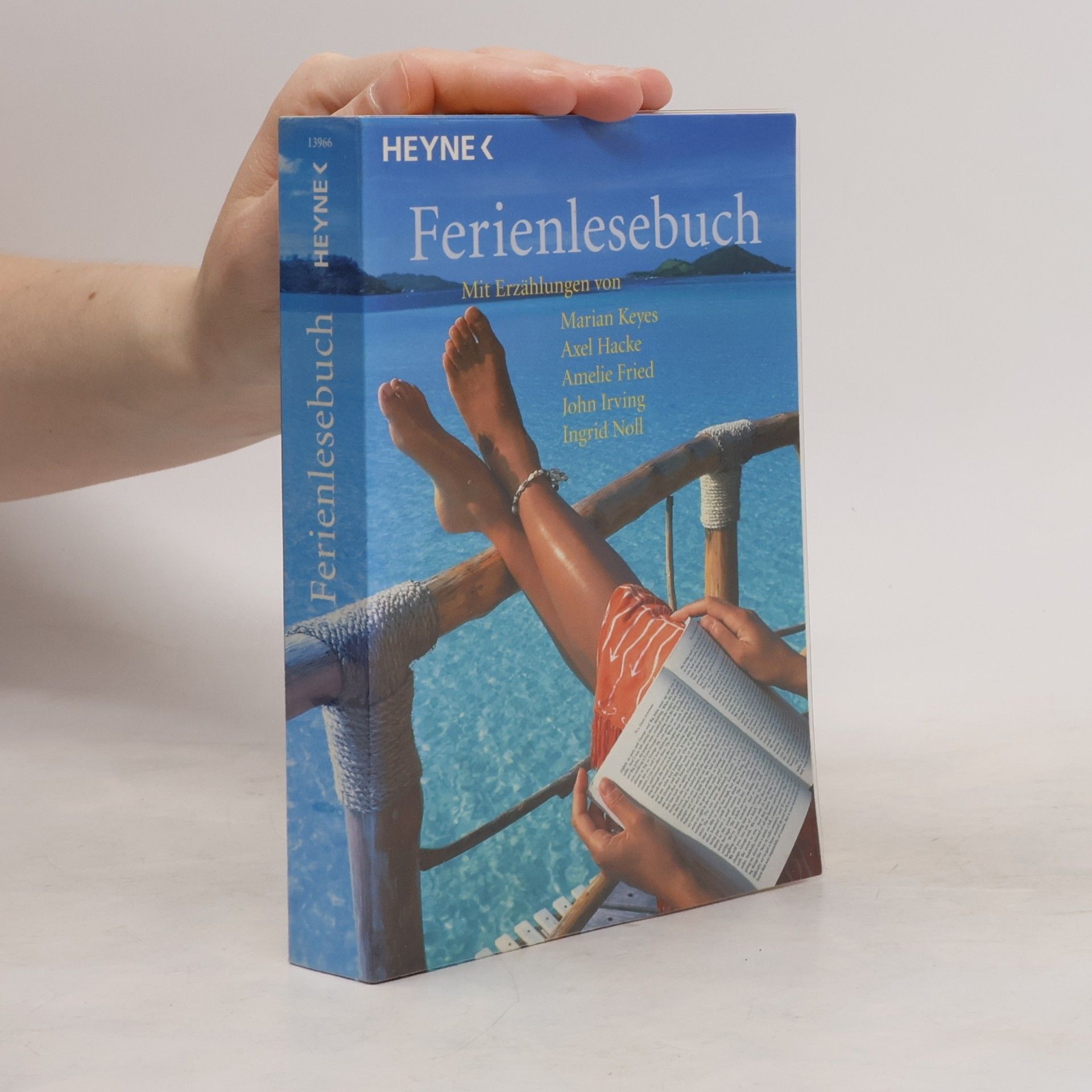 Ferienlesebuch