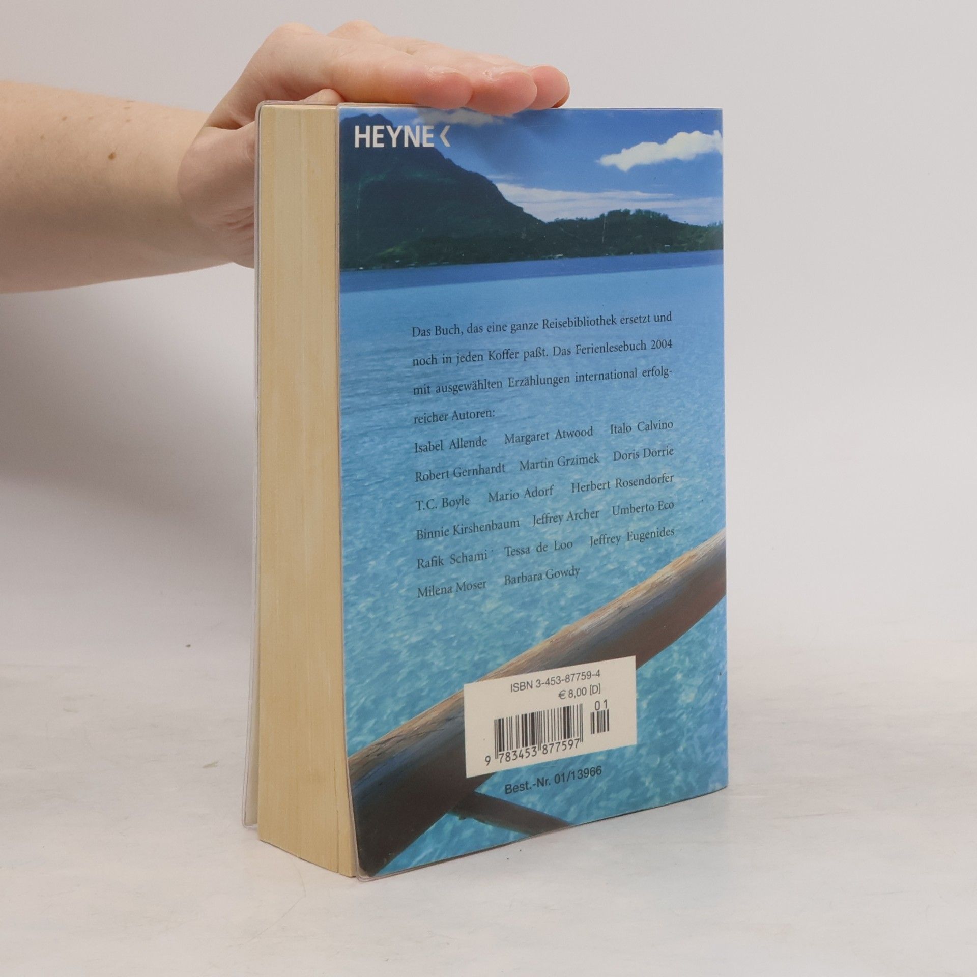 John Irving Ferienlesebuch