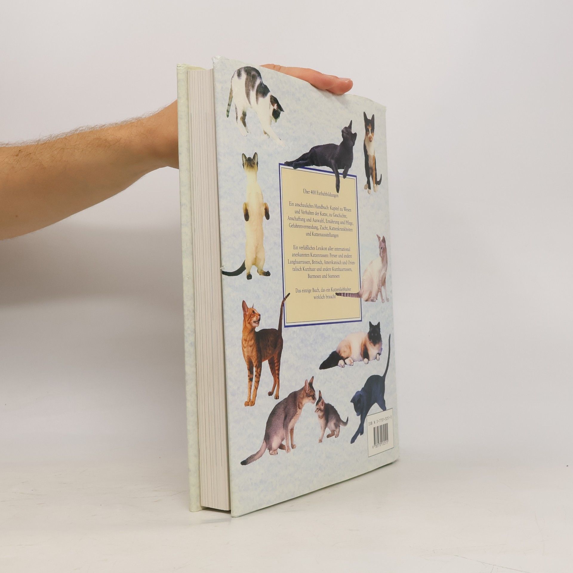 Paddy Cutts Dumont's grosses Katzenbuch