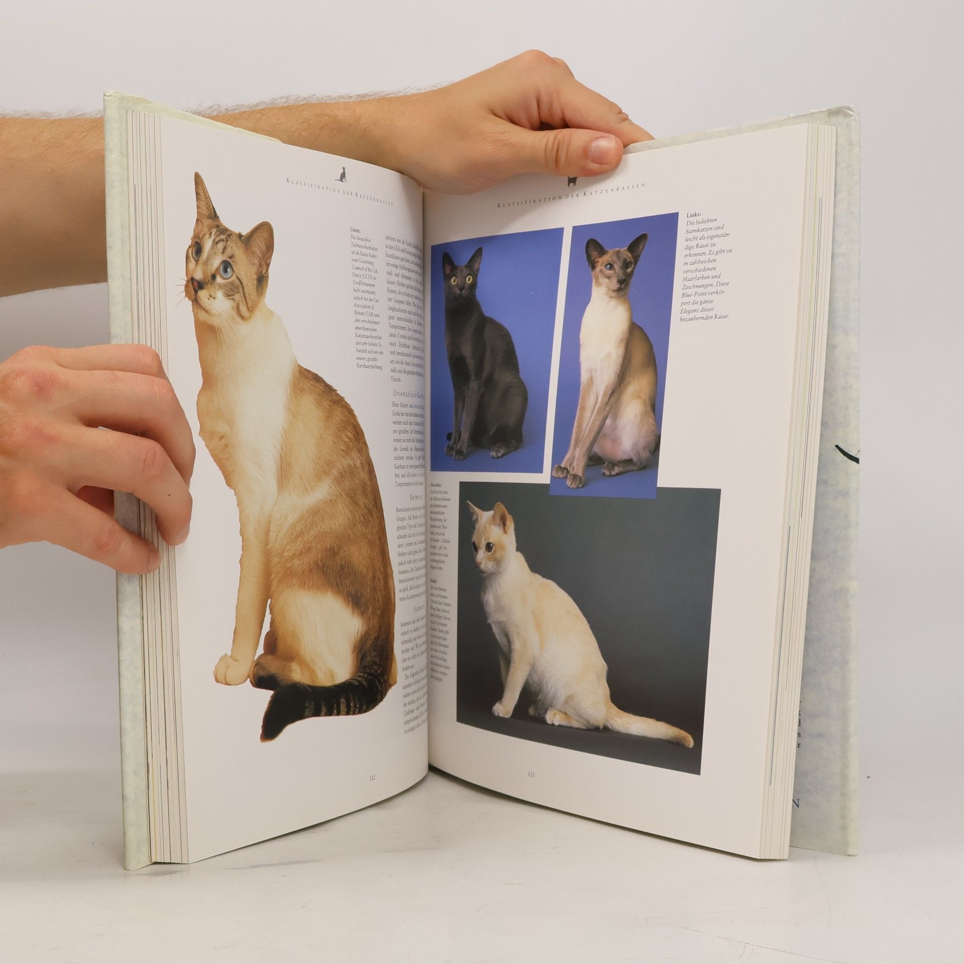 Paddy Cutts Dumont's grosses Katzenbuch