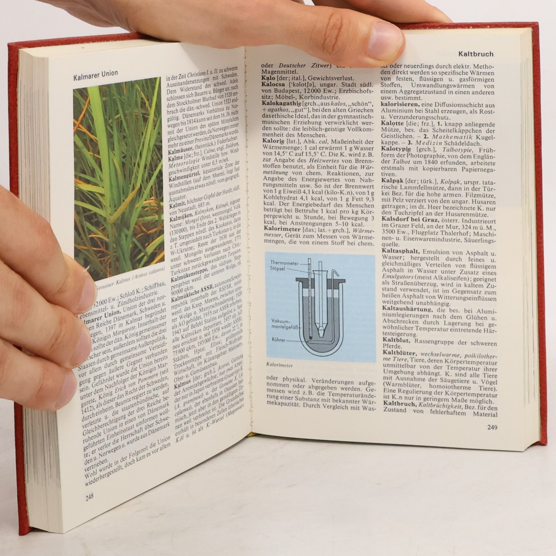 Autorenkollektiv Das moderne Lexikon 9. Ior-Kil