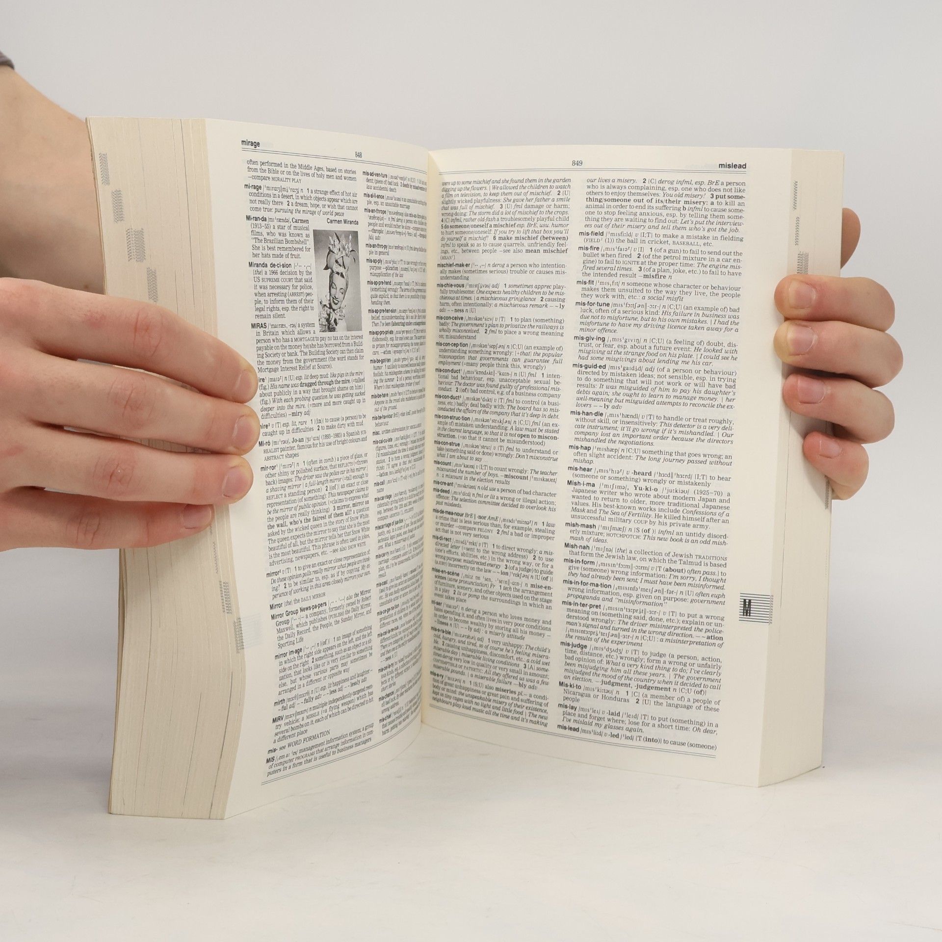 Della Summers Longman dictionary of english language and culture