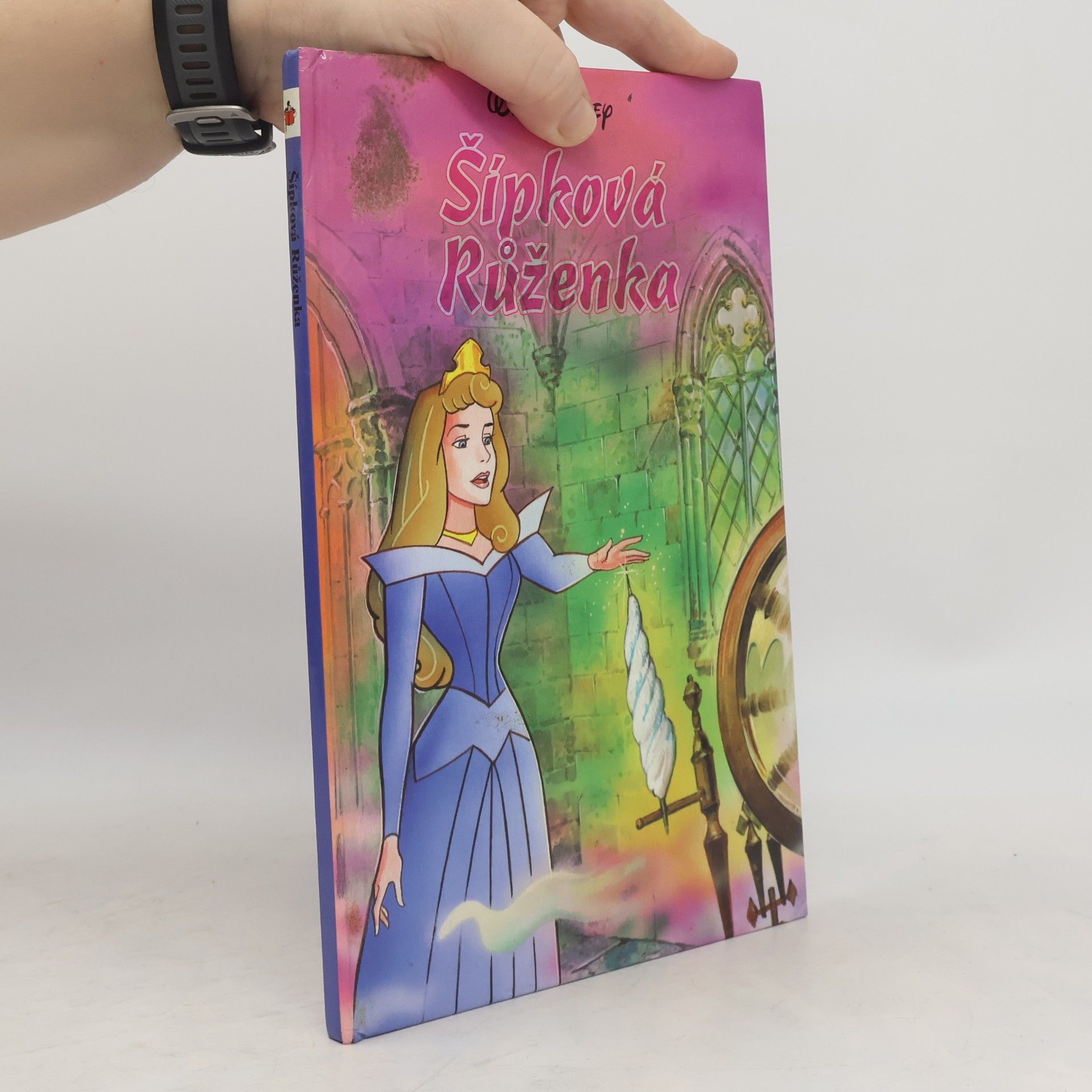 Walt Disney Šípková Růženka