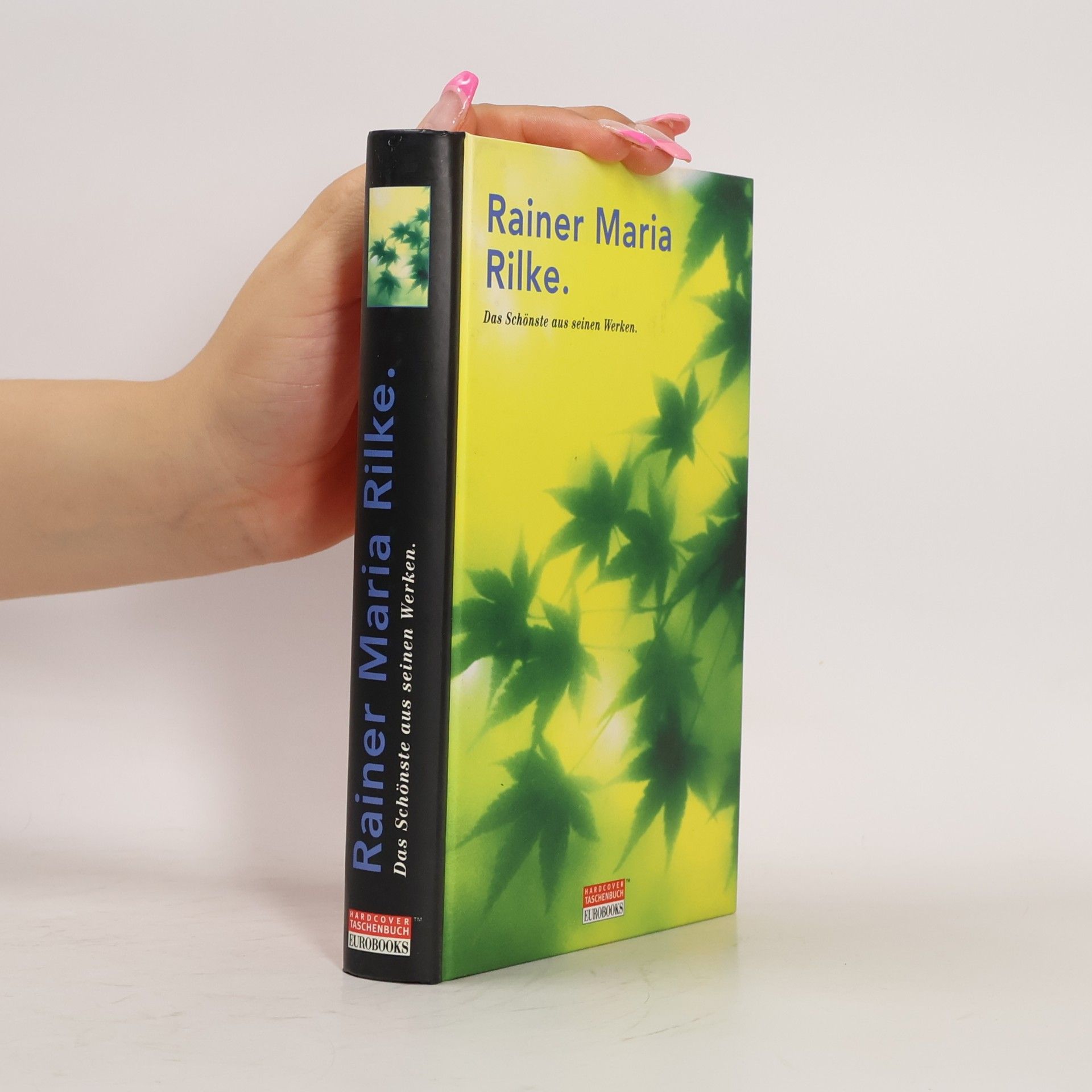 Rainer Maria Rilke Das Schönste aus seinen Werken