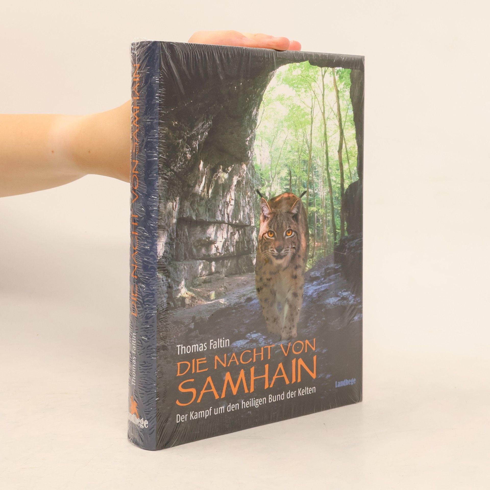 Thomas Faltin Die Nacht von Samhain. Der Kampf um den heiligen Bund der Kelten