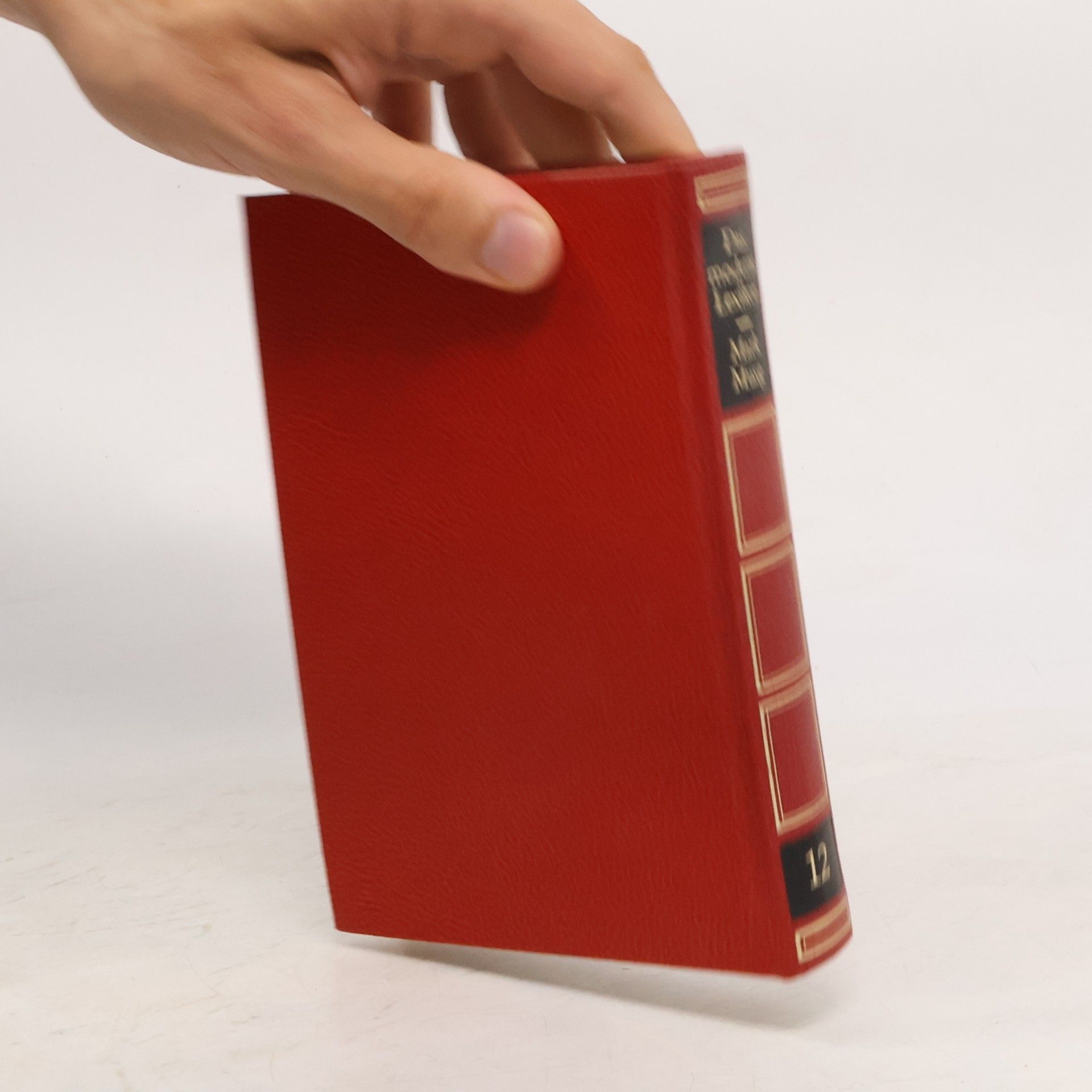 Kolektiv autorů Das moderne Lexikon 12