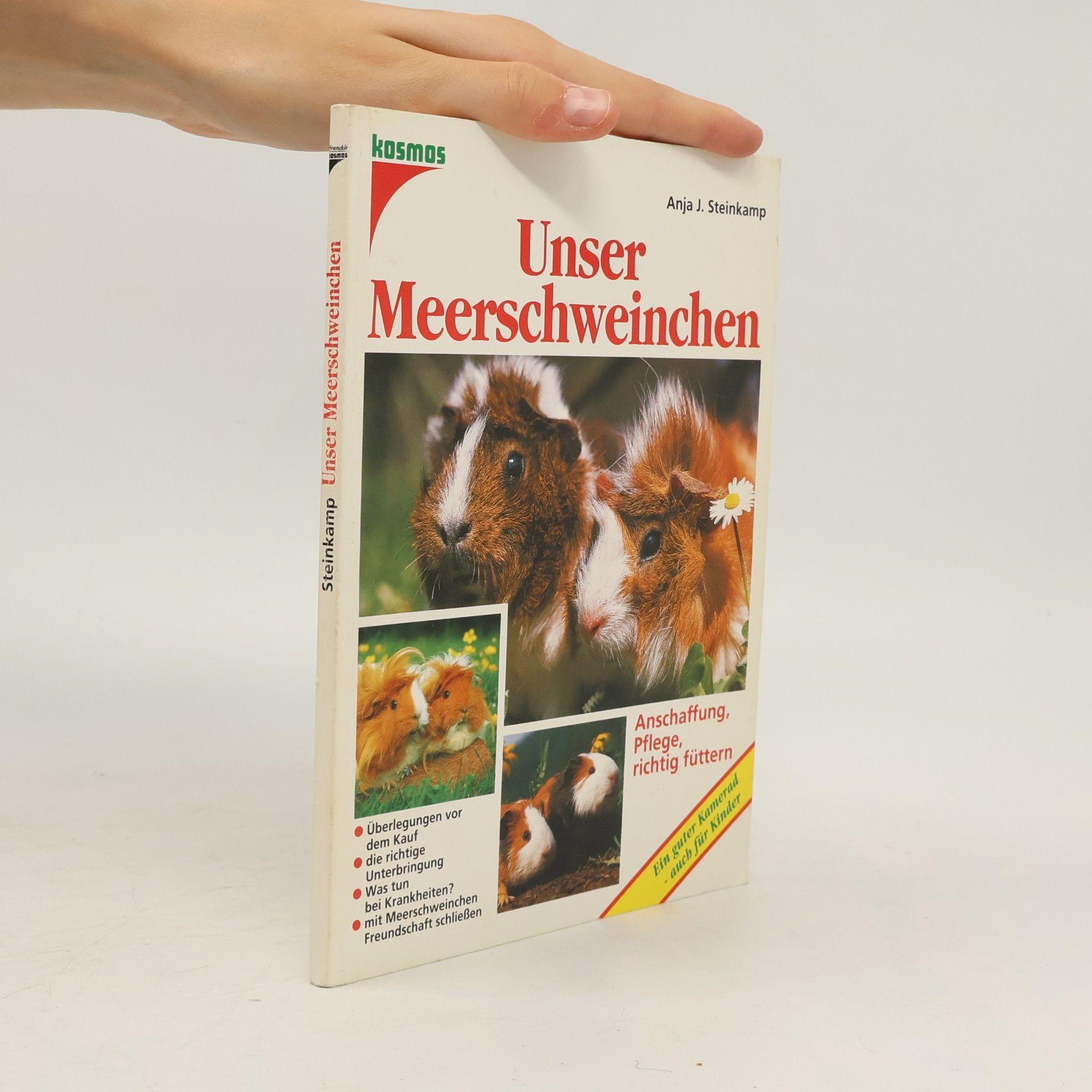 Anja J. Steinkamp Unser Meerschweinchen
