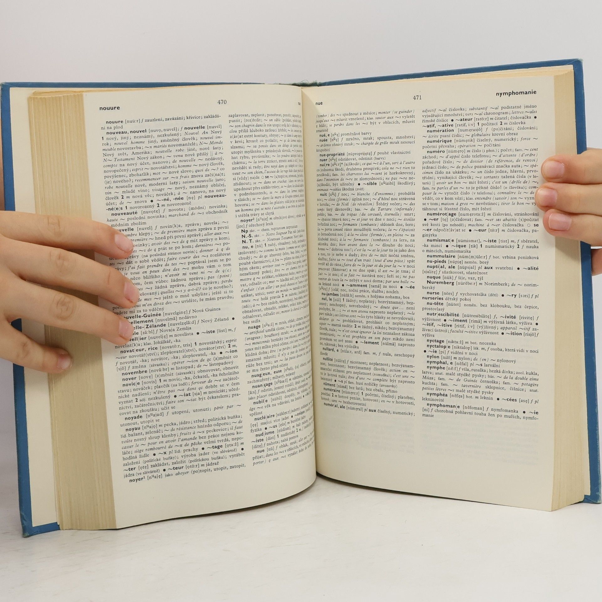 Stanislav Lyer Francouzsko-český slovník. Dictionnaire français-tchéque