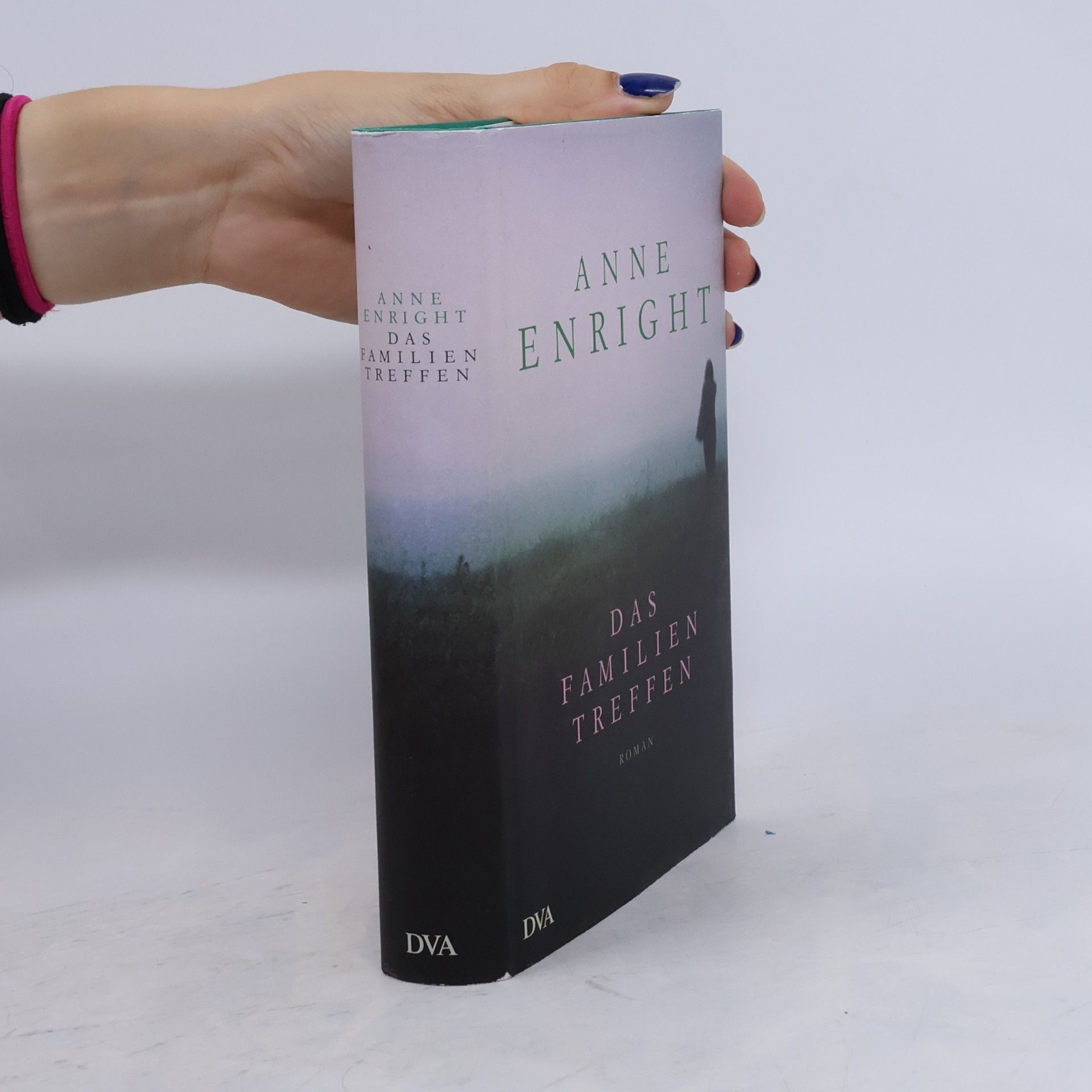 Anne Enright Das Familientreffen