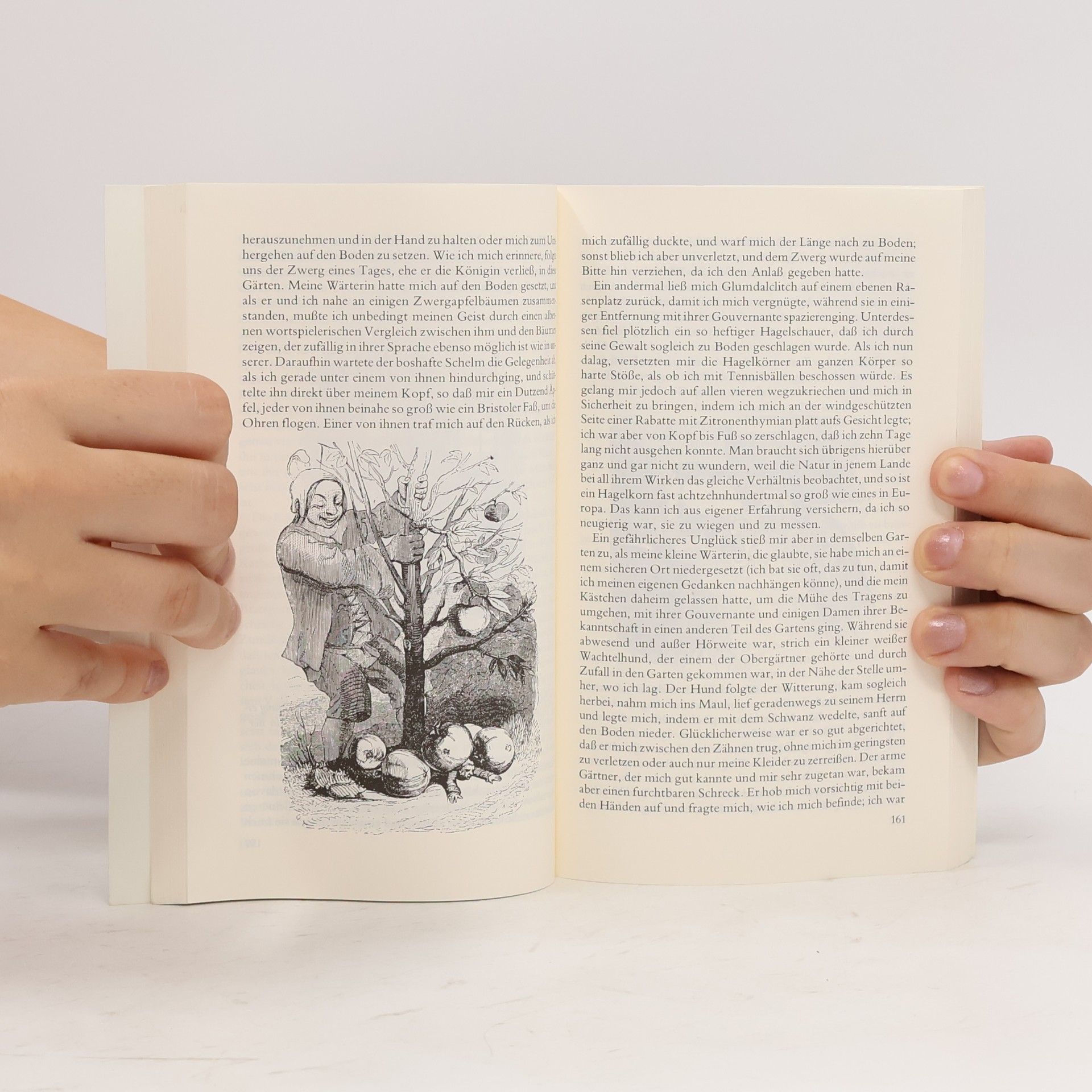 Jonathan Swift Gullivers Reisen
