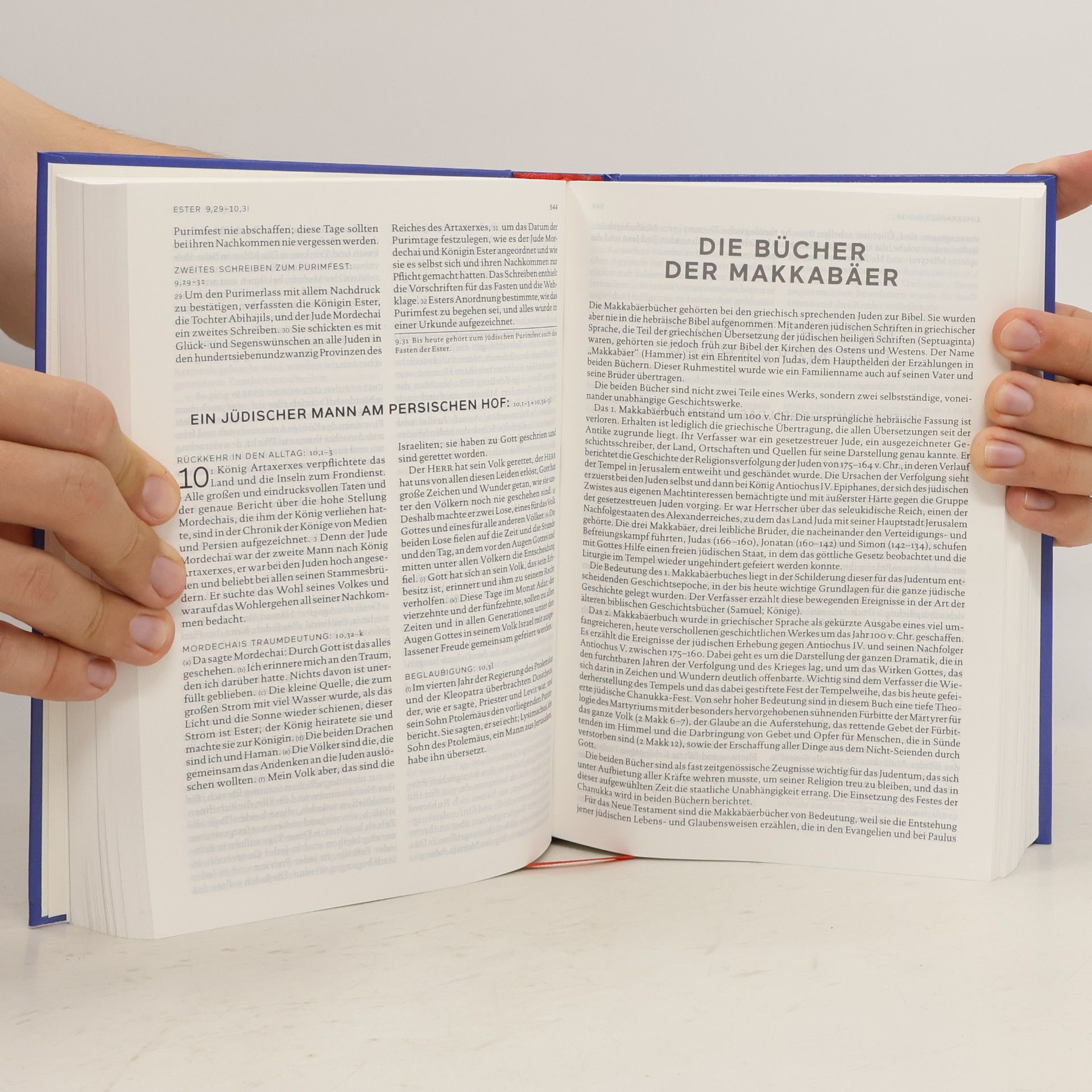 AA.VV. Die Bibel - Einheitsübersetzung