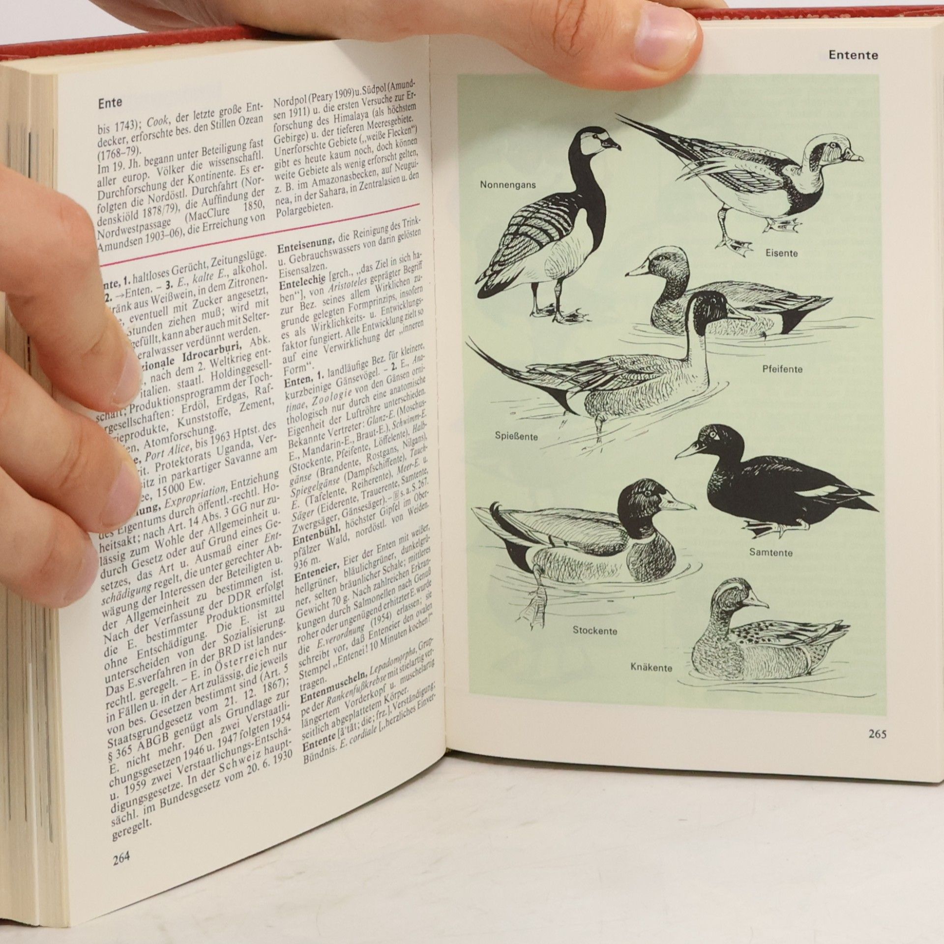 Autorenkollektiv Das moderne Lexikon 5. Dos-Fau