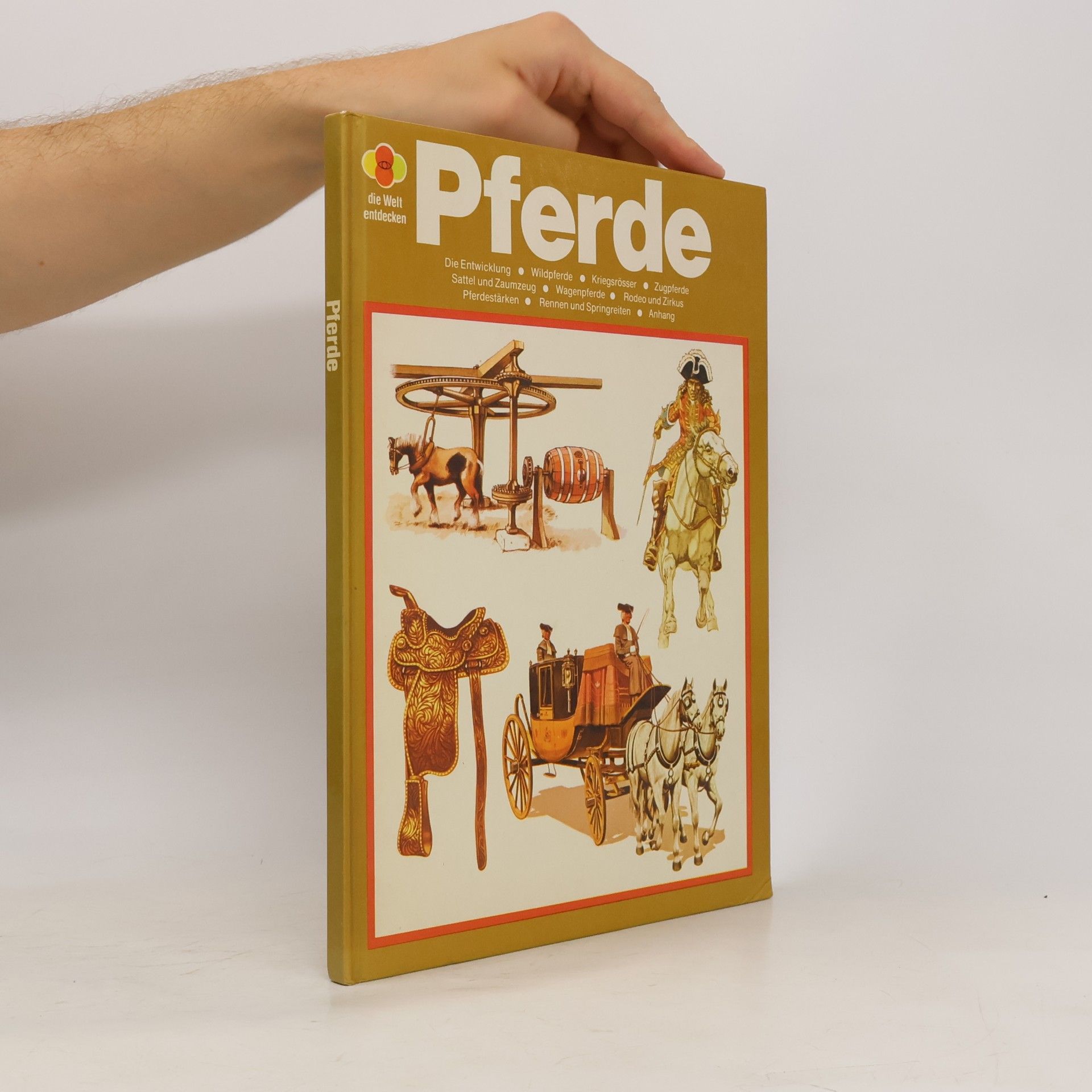 Toni Webber Pferde