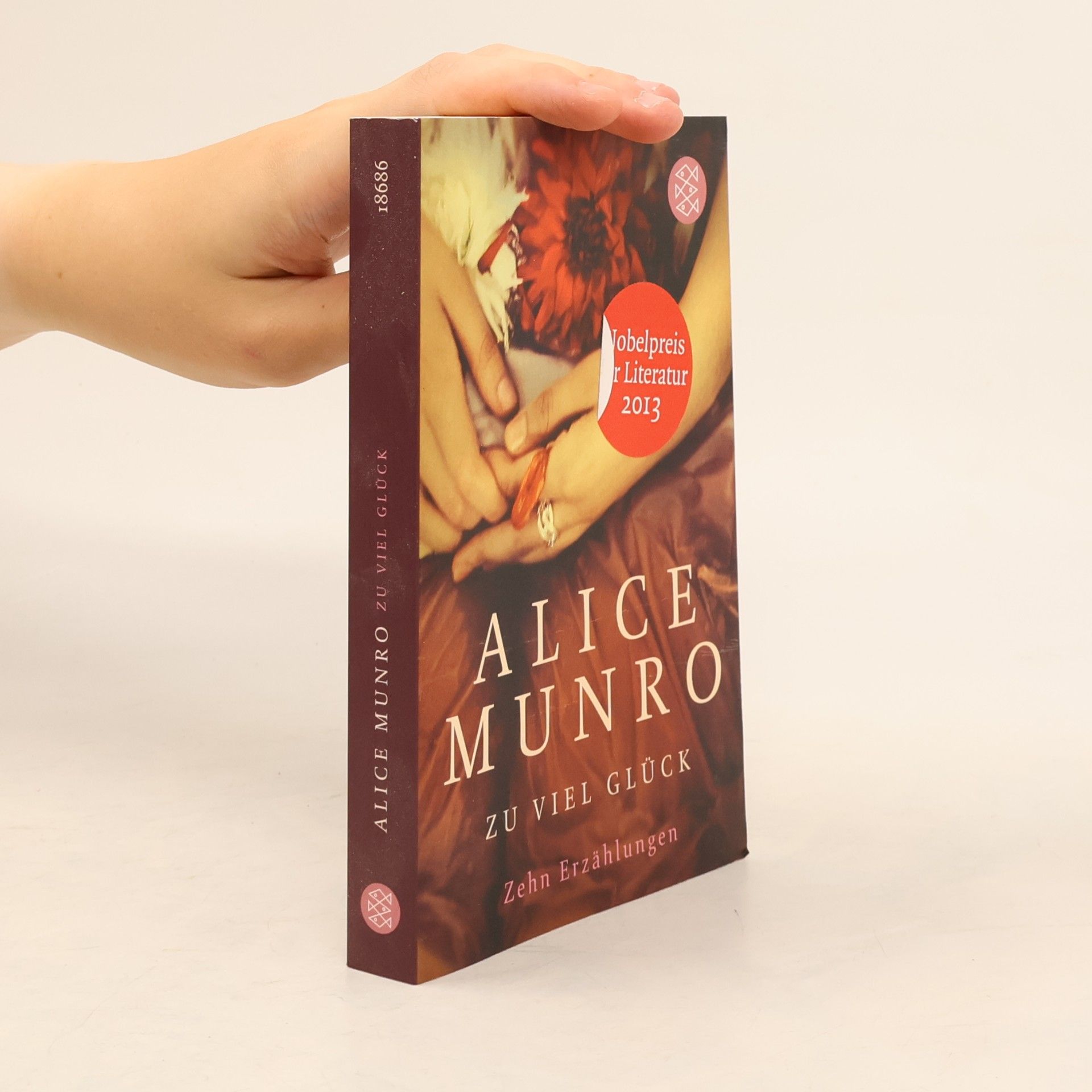 Alice Munro Zu viel Glück. zehn erzählungen