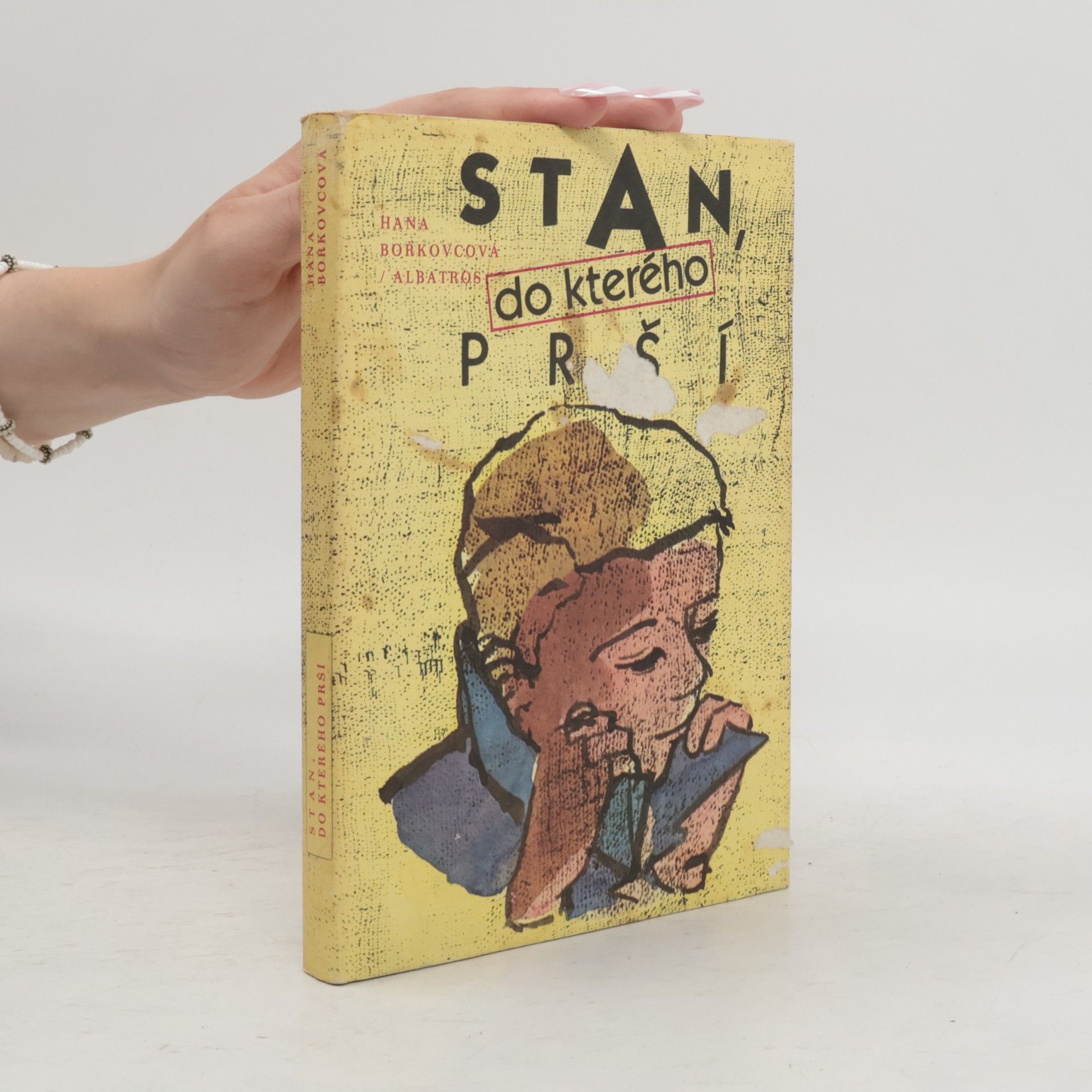 Hana Bořkovcová Stan, do kterého prší