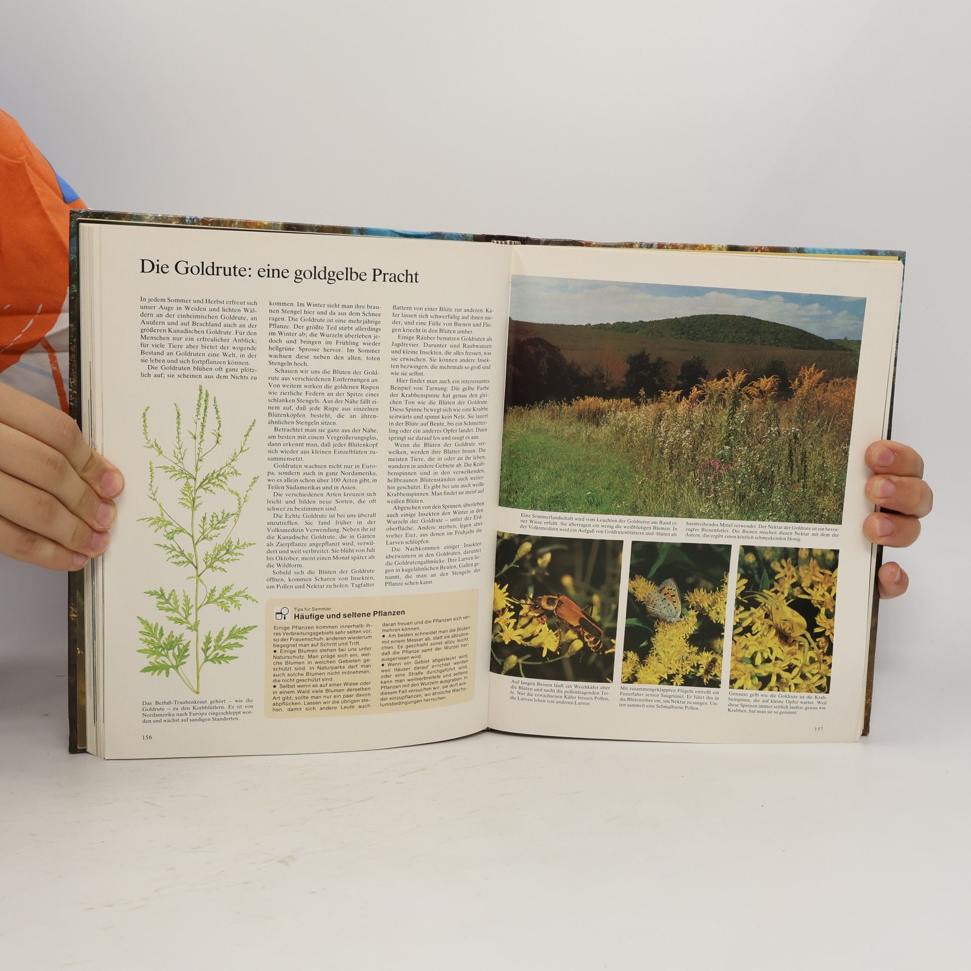 Durward L. Allen Natur erleben, Natur verstehen