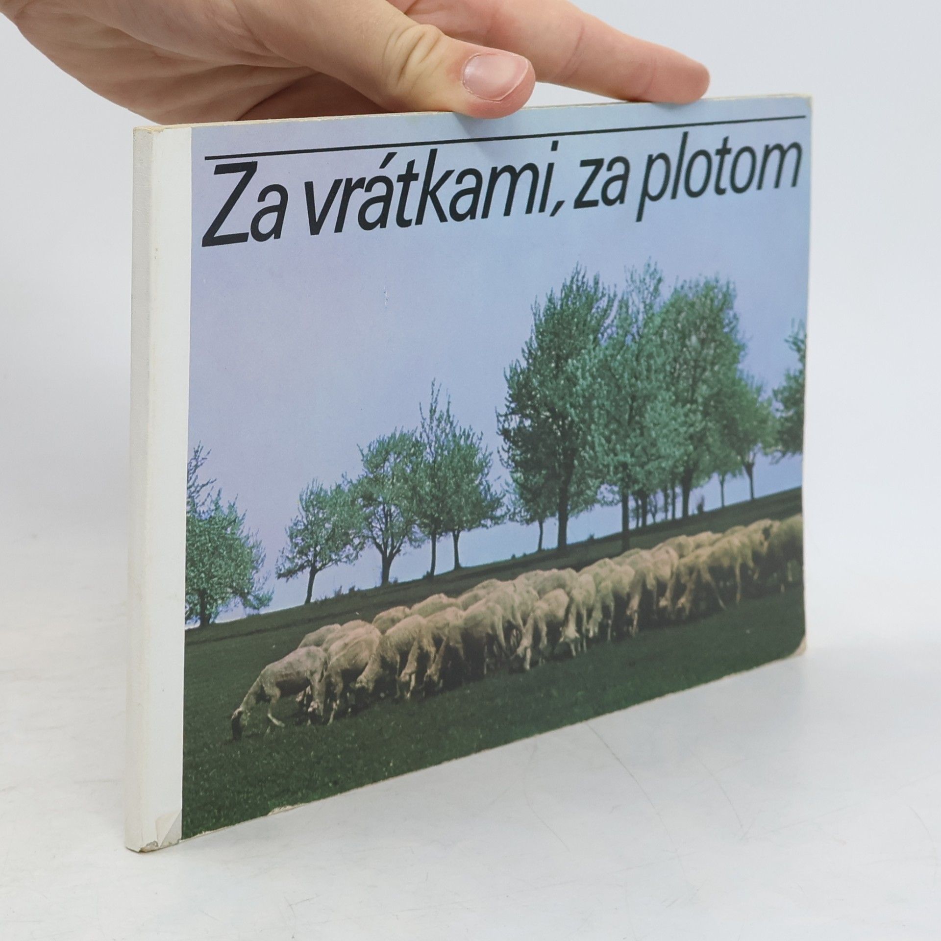 Julius Kontár Za vrátky, za plotem