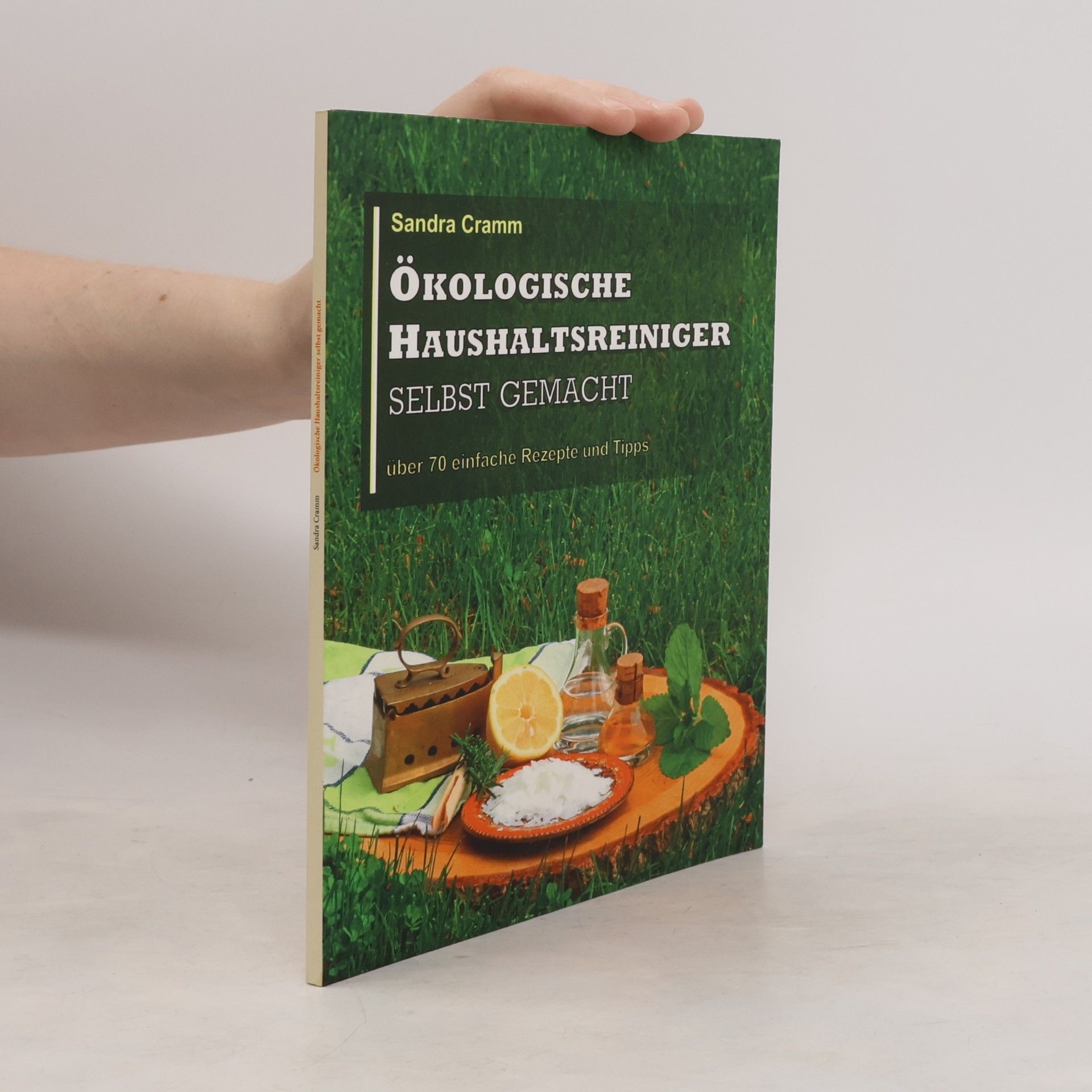 Sandra Cramm Ökologische Haushaltsreiniger selbst gemacht