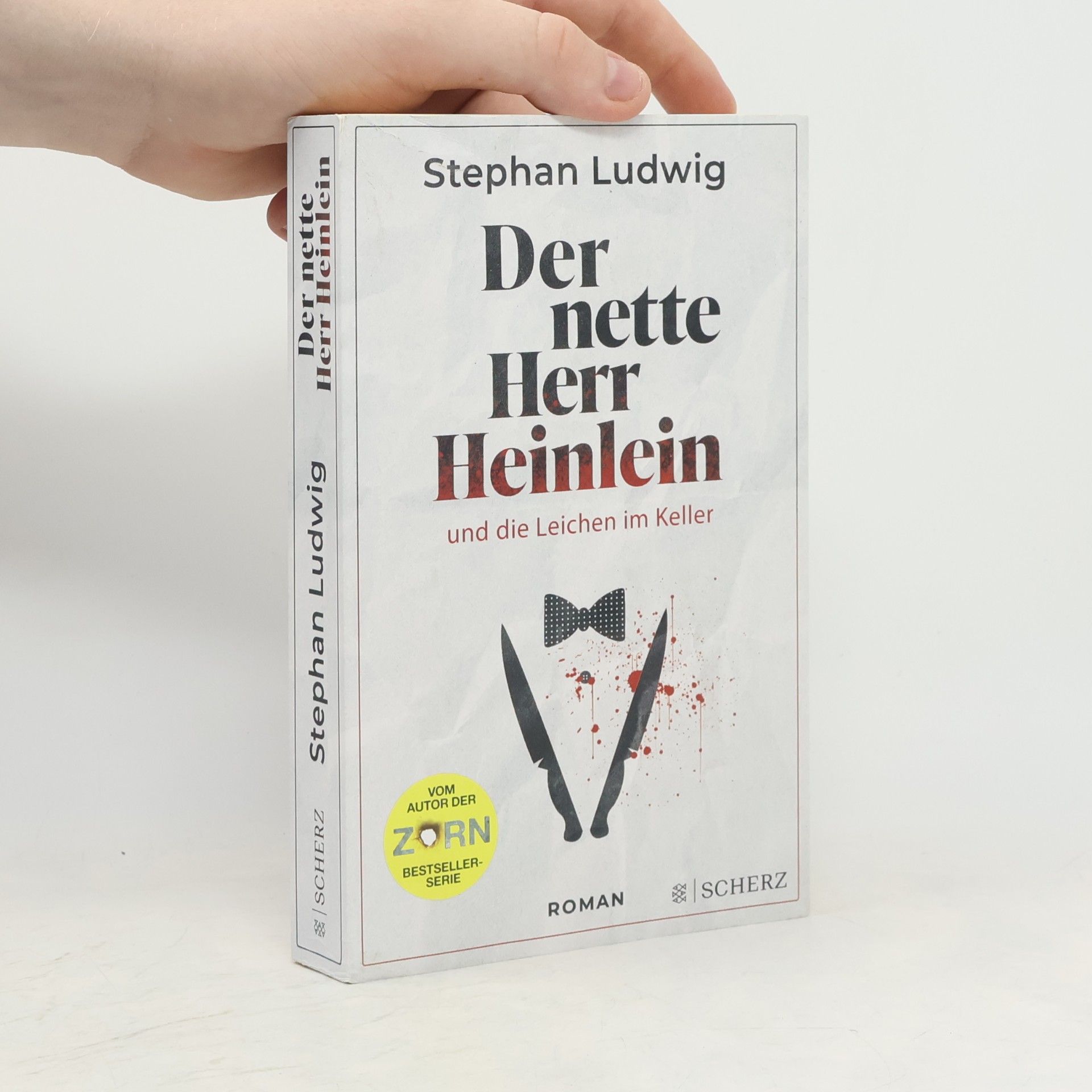 Stephan Ludwig Der nette Herr Heinlein und die Leichen im Keller