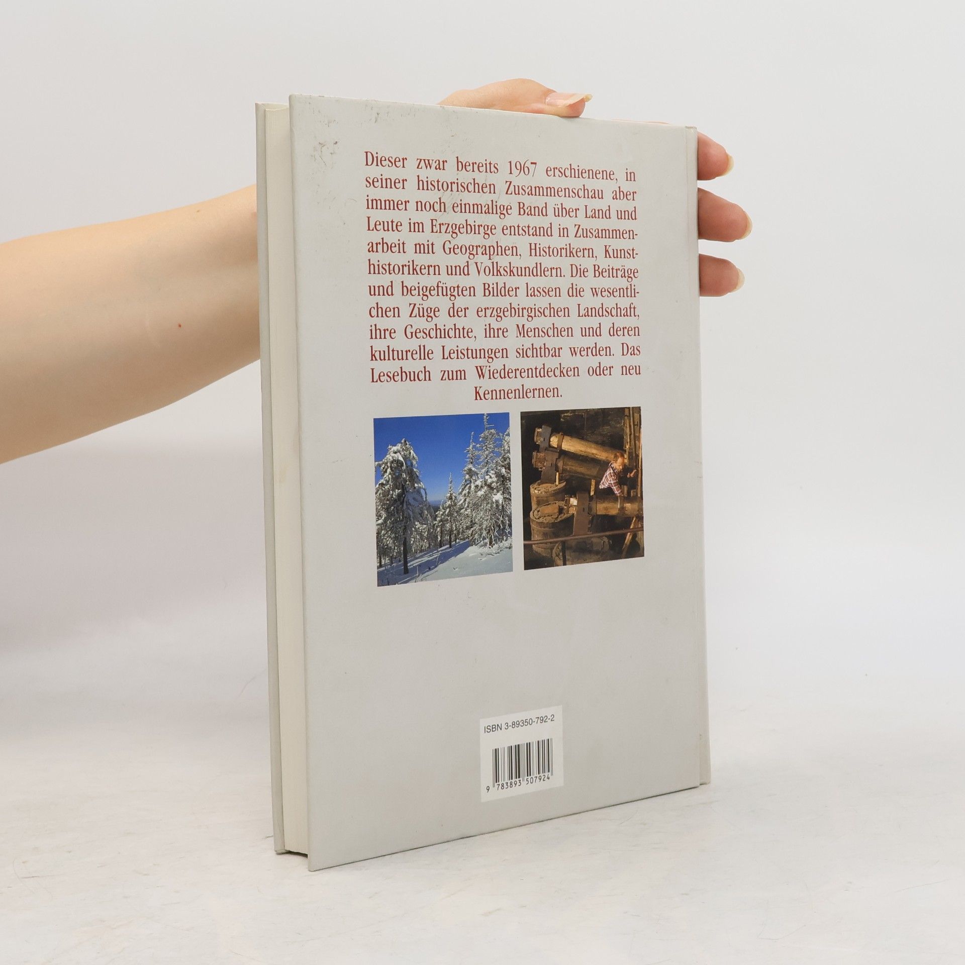 Autorenkollektiv Das Erzgebirge. Historische Landeskunde.