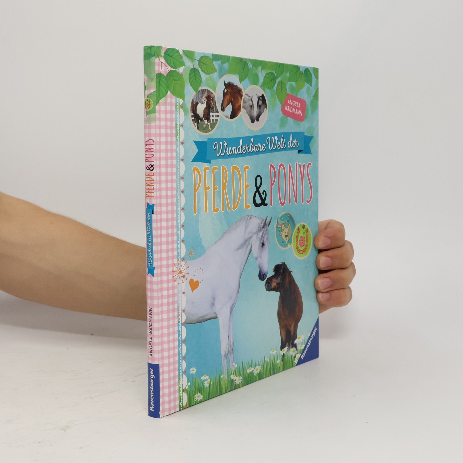 Angela Waidmann Wunderbare Welt der Pferde & Ponys